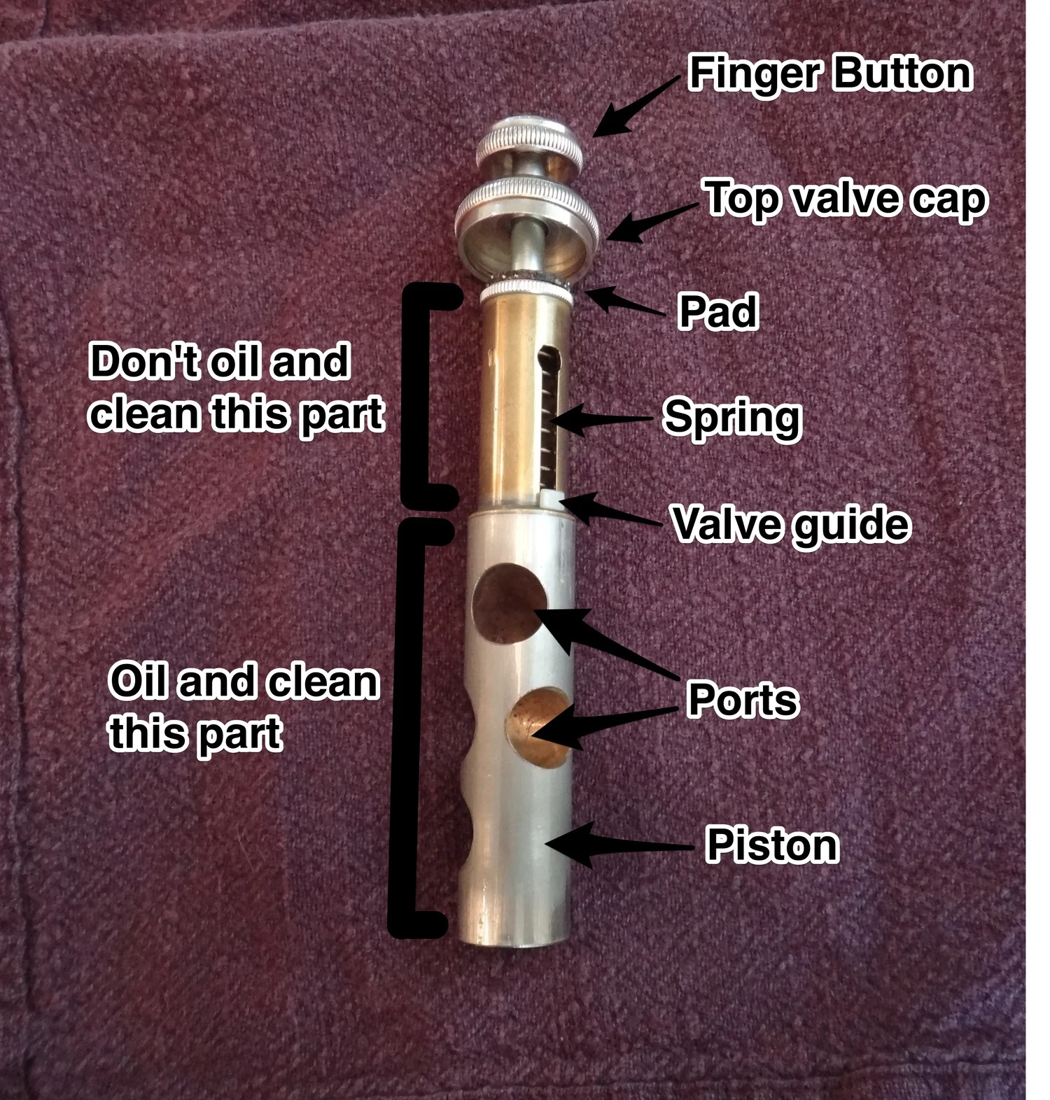 Parts Of A Trumpet Slidesharedocs vrogue.co