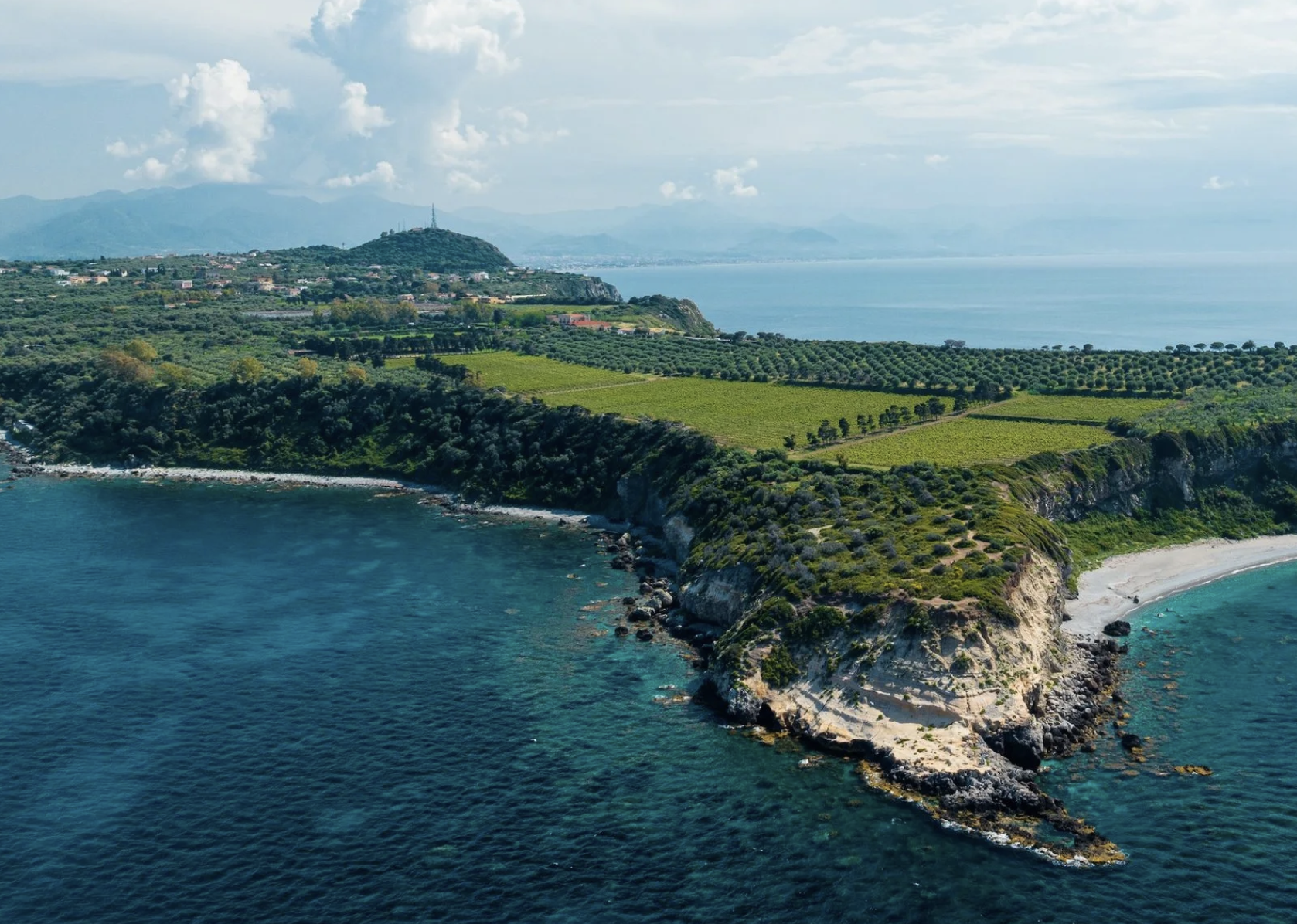 Screenshot 2026-03-03 at 2.36.35 PM.png