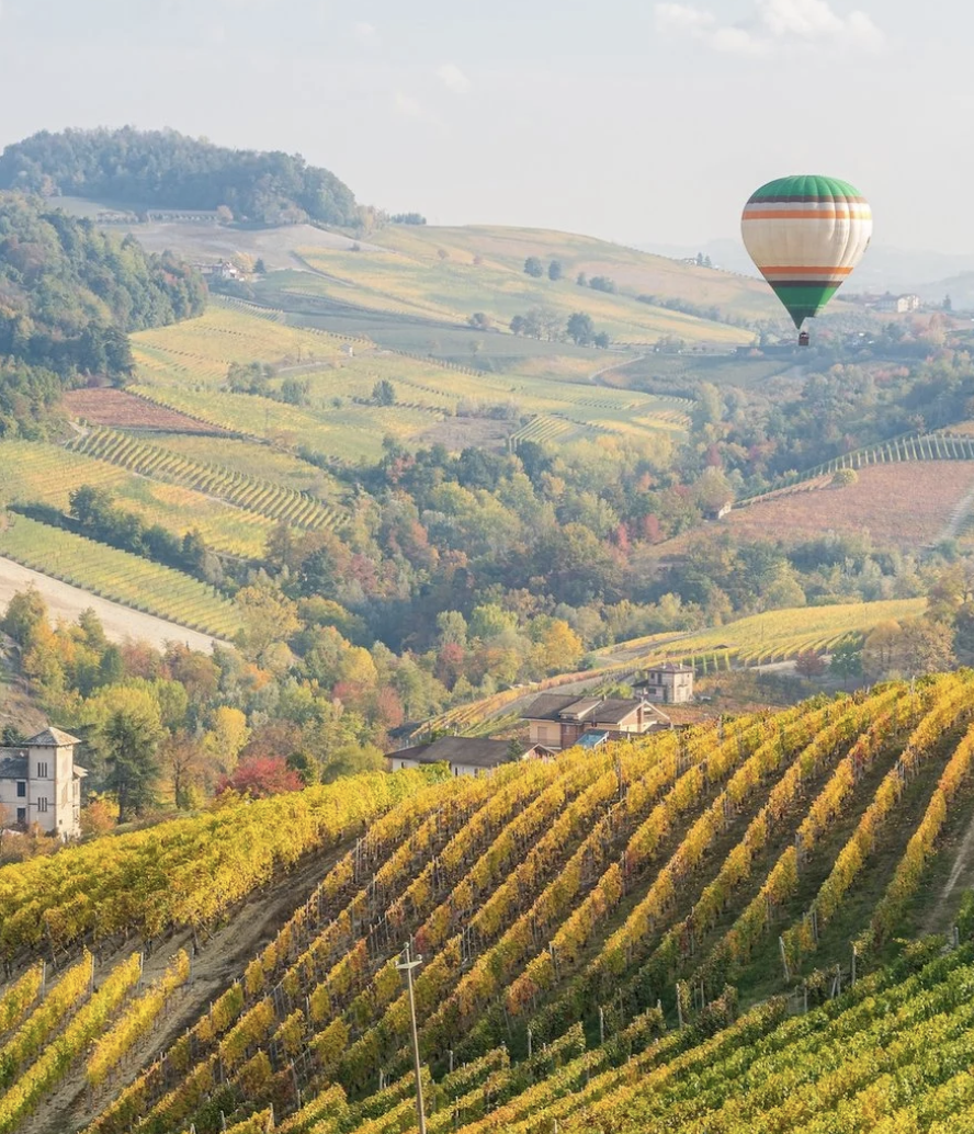 Screenshot 2026-03-03 at 3.19.47 PM.png