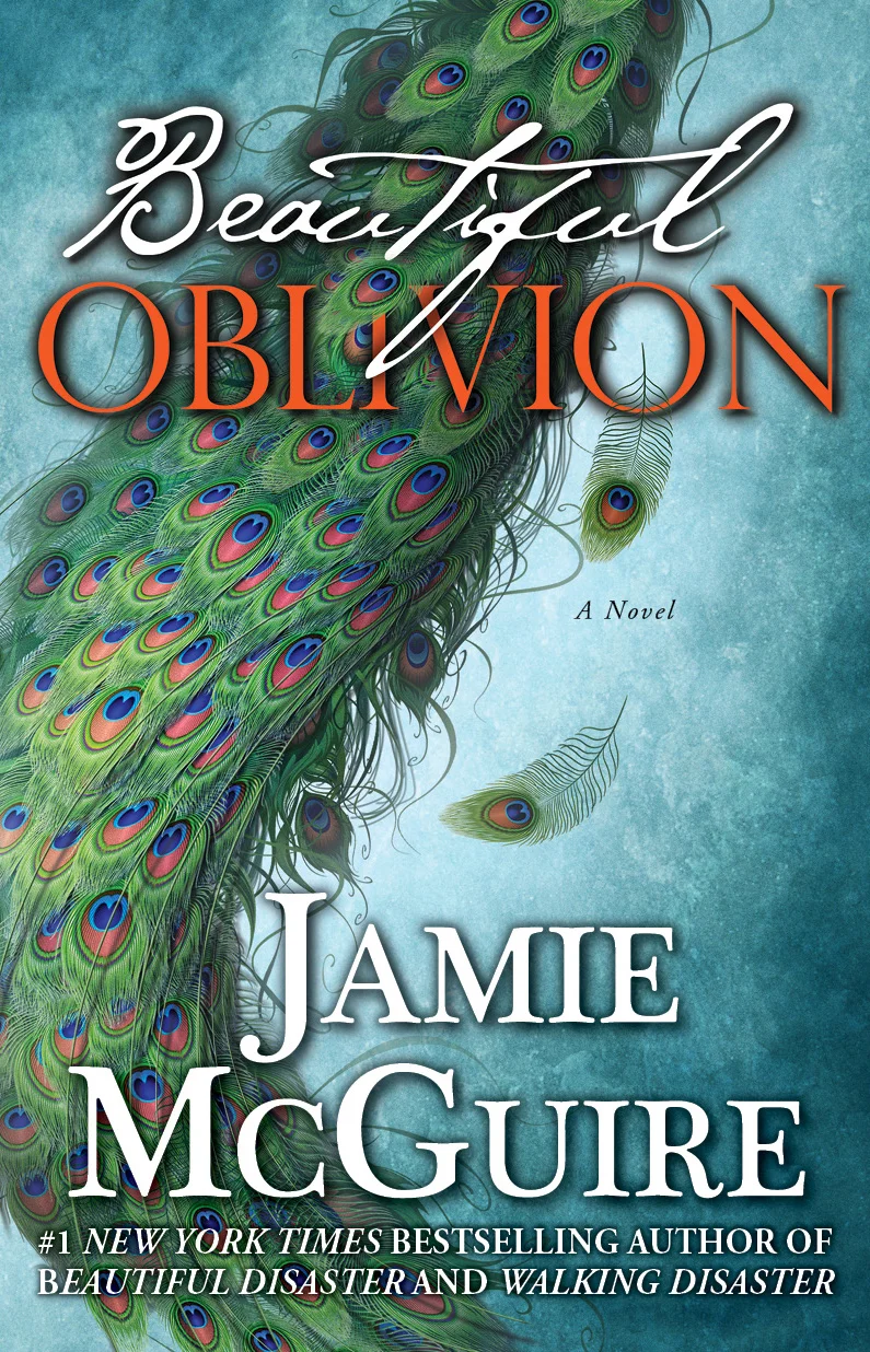 JMC_BeautifulDisaster_Cover-e1333664180331.jpg