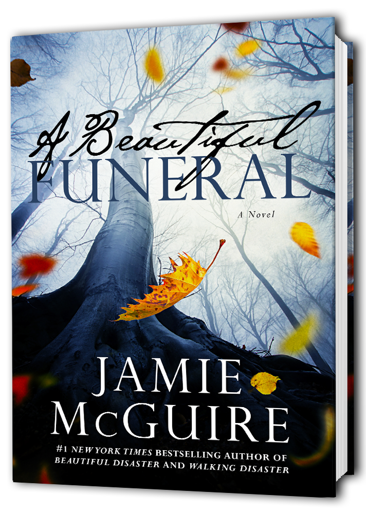 A Beautiful Funeral A Novel Cover Reveal and Description! — Author
