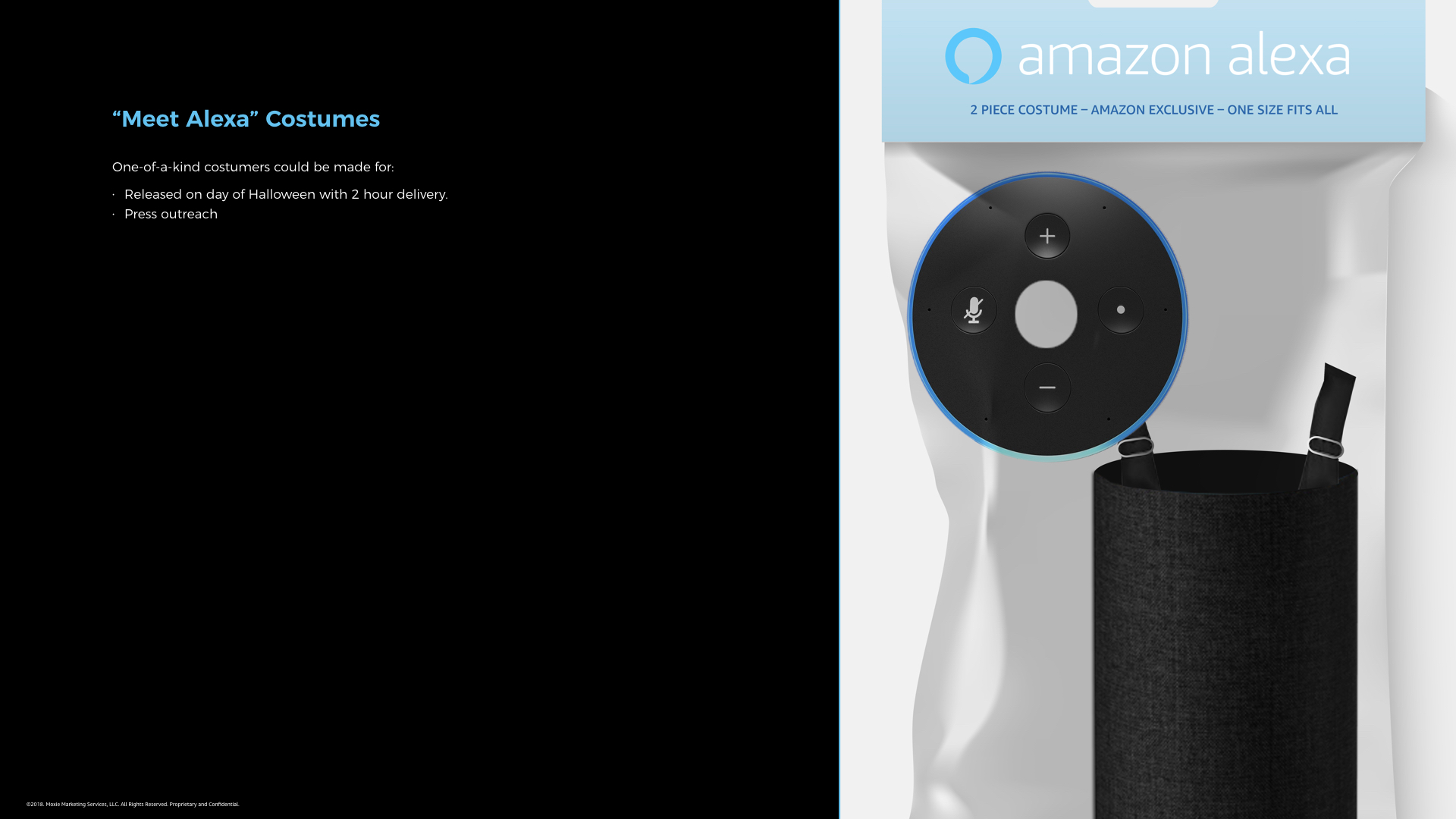 Amazon_Alexa_Presentation_081018.085.jpeg