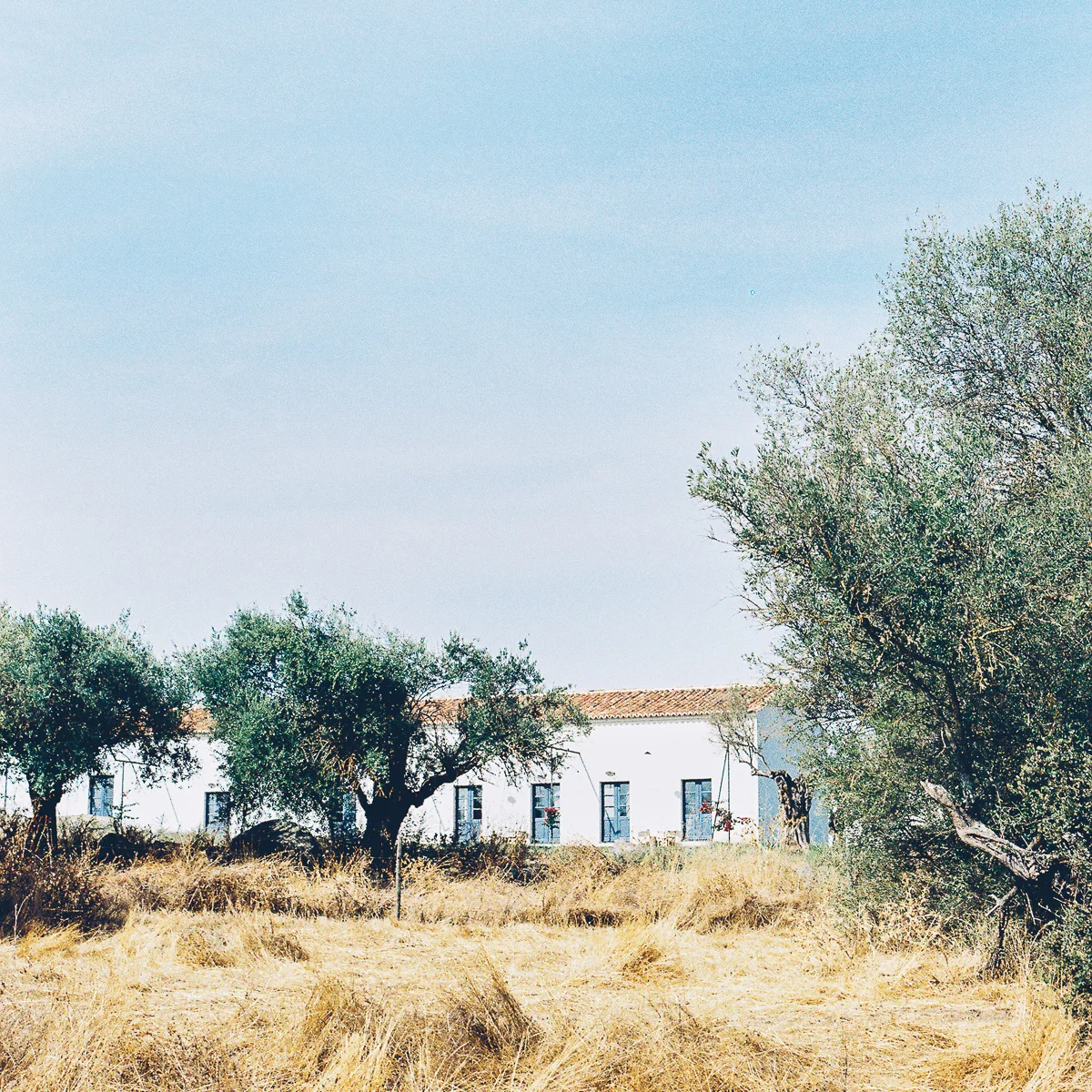 portugal retreat with Olaiya Land of millys-kitchen.com