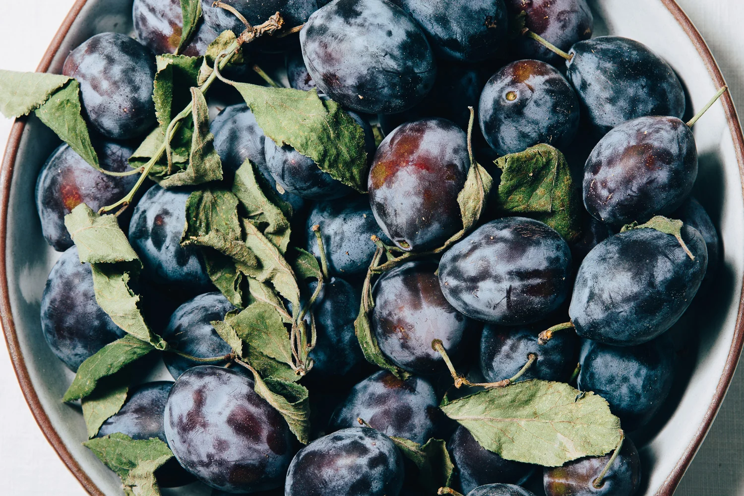 italian plum pie — Milly's Kitchen