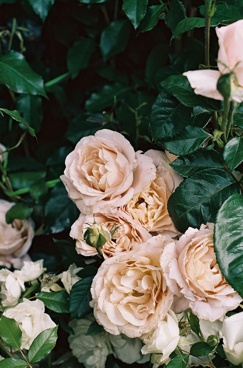 create+with+confidence+workshop-october-2019-6.jpg