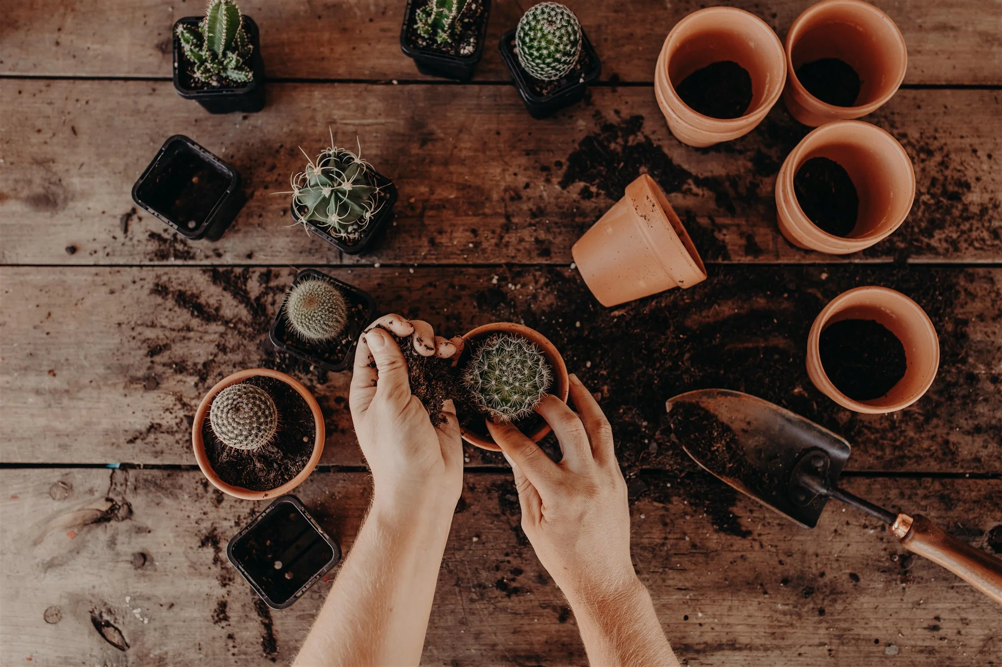 POPPYFERN__April 17, 2019072.jpg
