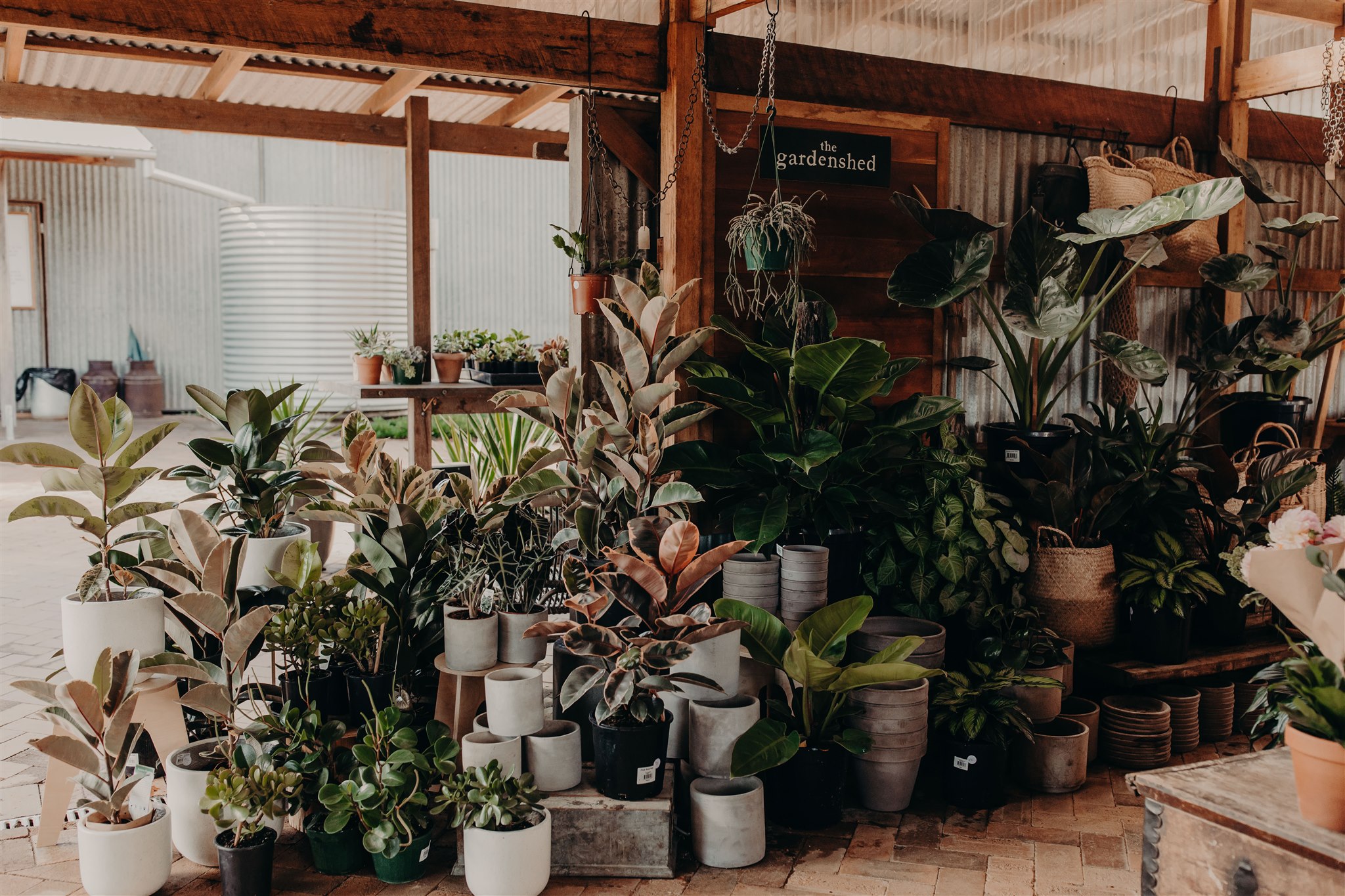 POPPYFERN__April 17, 2019026.jpg