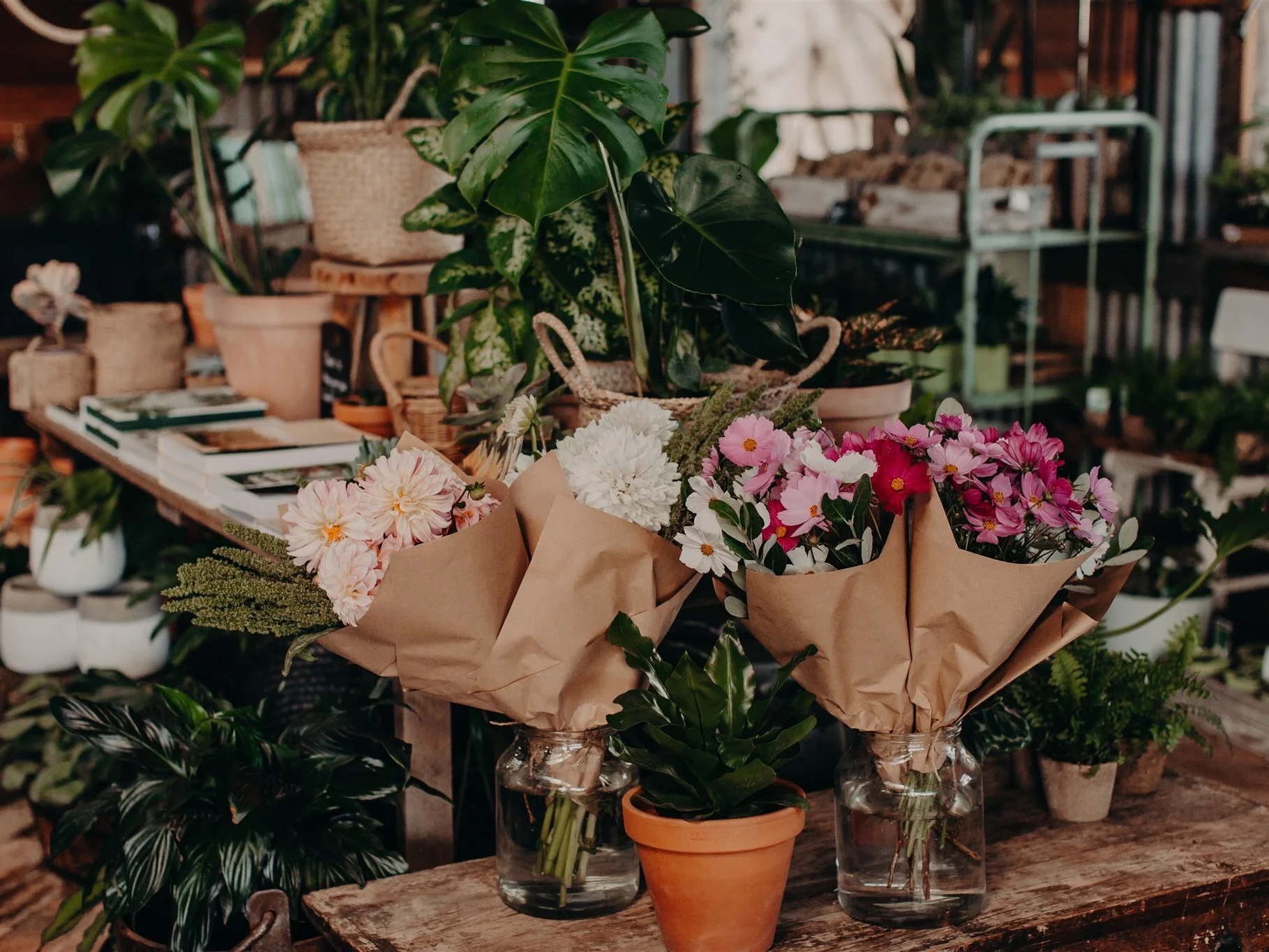 POPPYFERN__April+17%2C+2019027.jpg