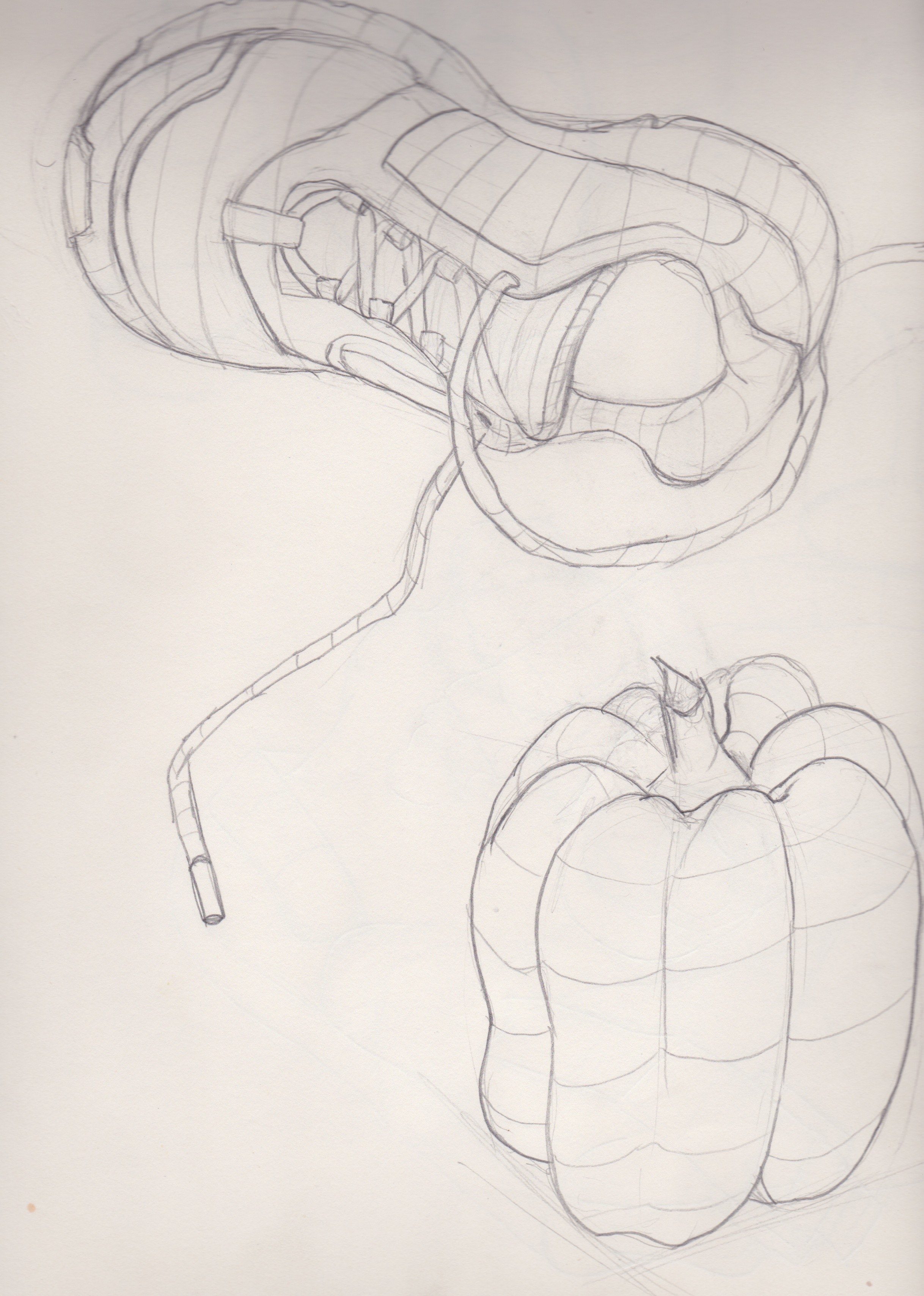 sketchbook 3.jpeg