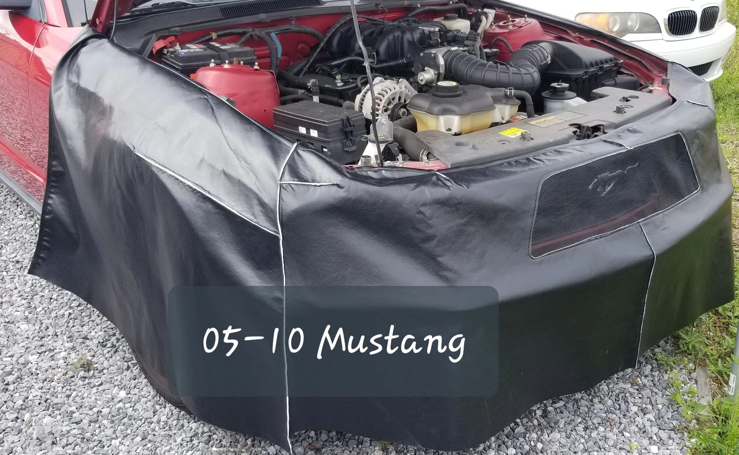 05-10 Mustang $195