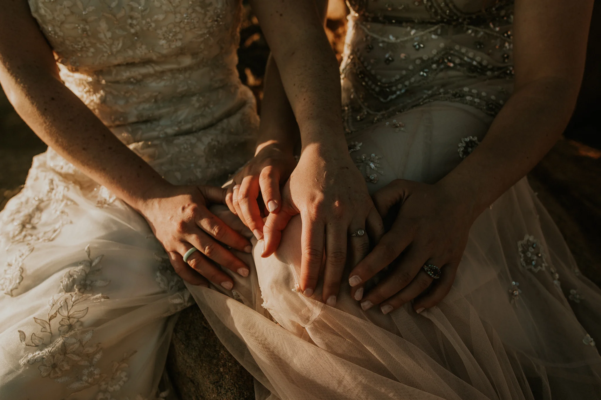 Destination Wedding Photographer - Vow of the Wild