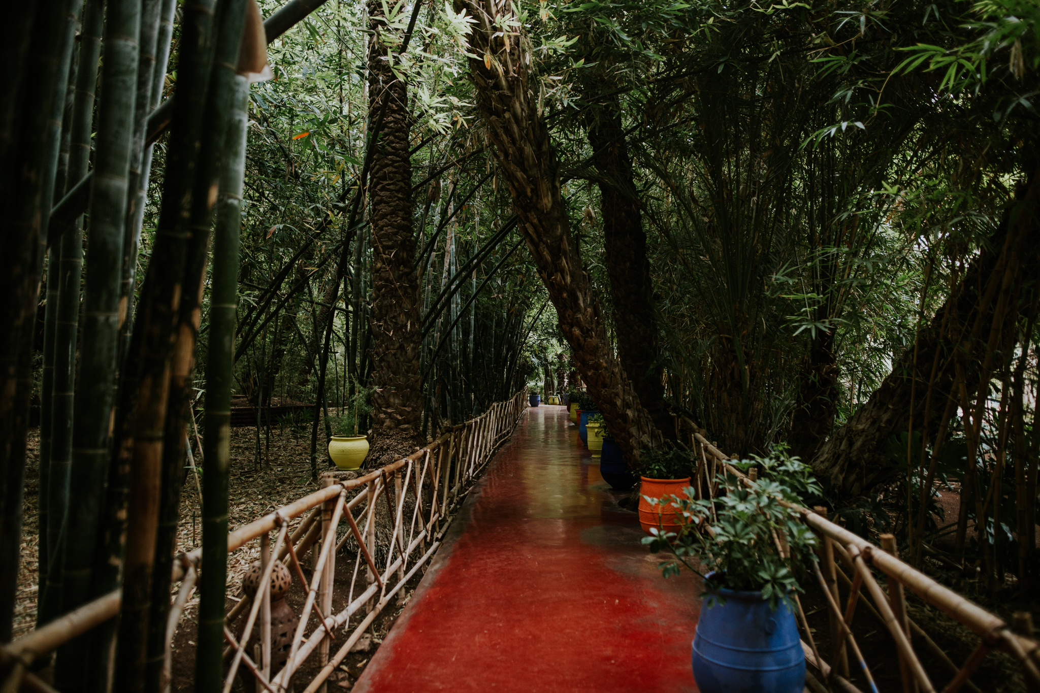 Marrakech Morocco Wedding Photographer - Vow of the Wild
