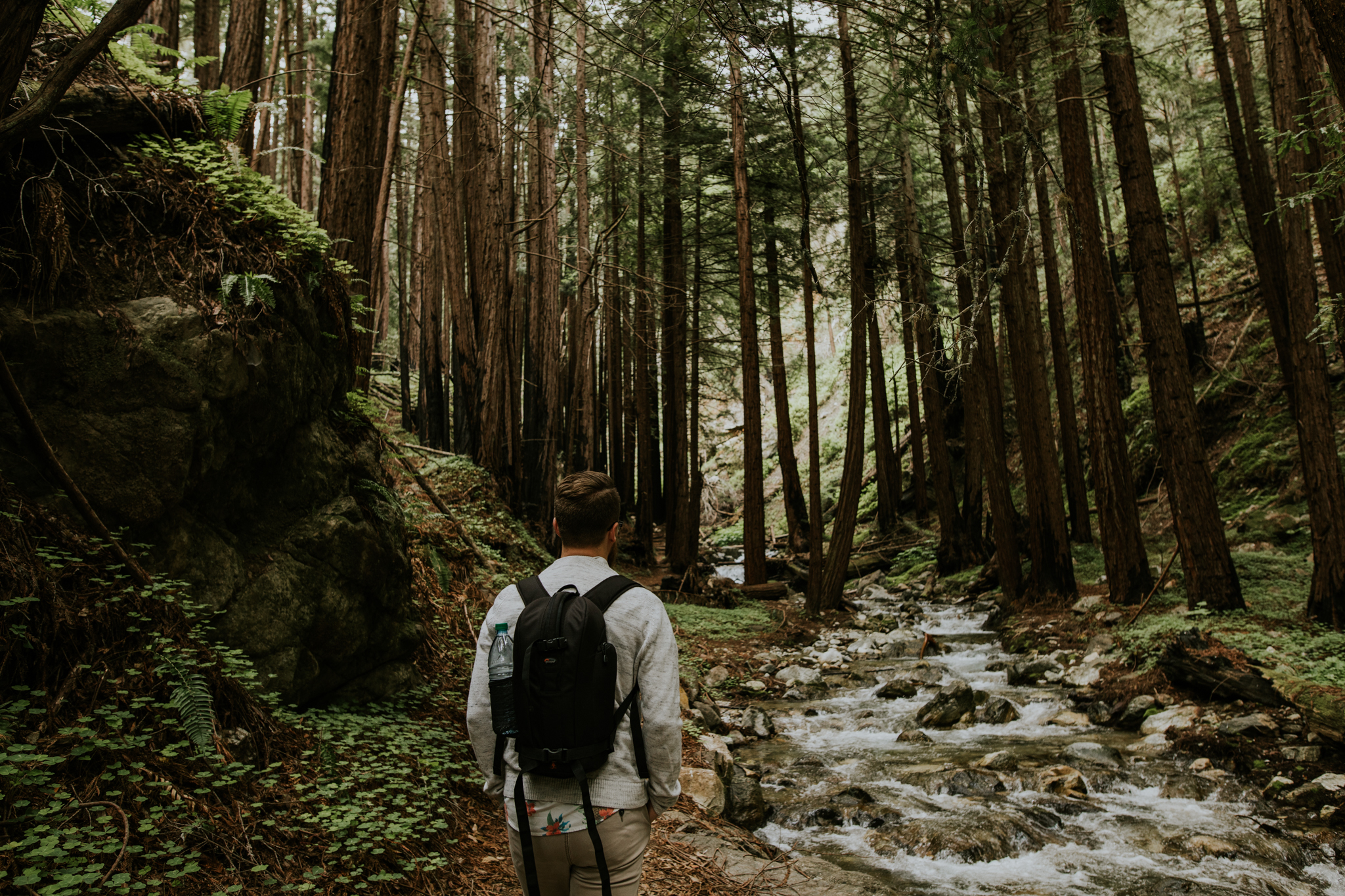 Limekiln State Park - Big Sur Elopement Photographer - Vow of the Wild