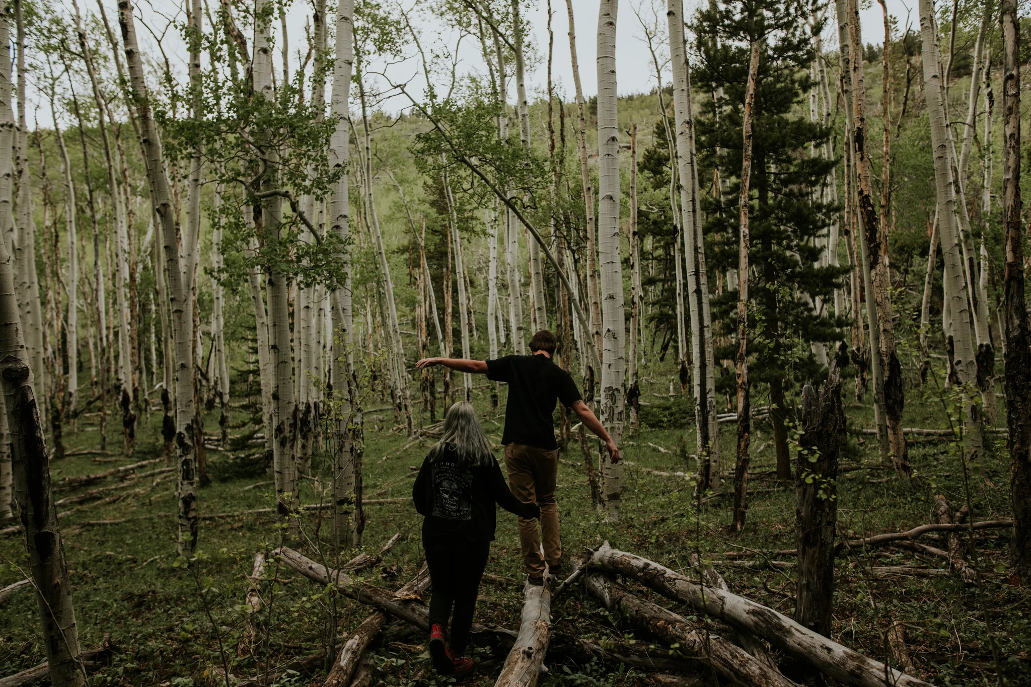 Rocky Mountain National Park Elopement - Vow of the Wild
