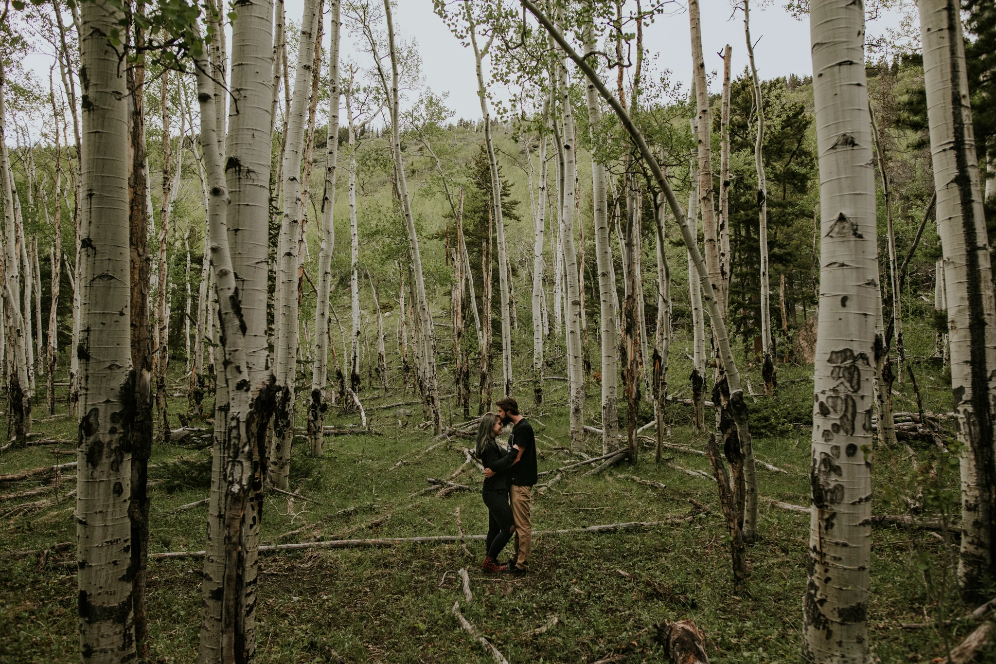Rocky Mountain National Park Elopement - Vow of the Wild