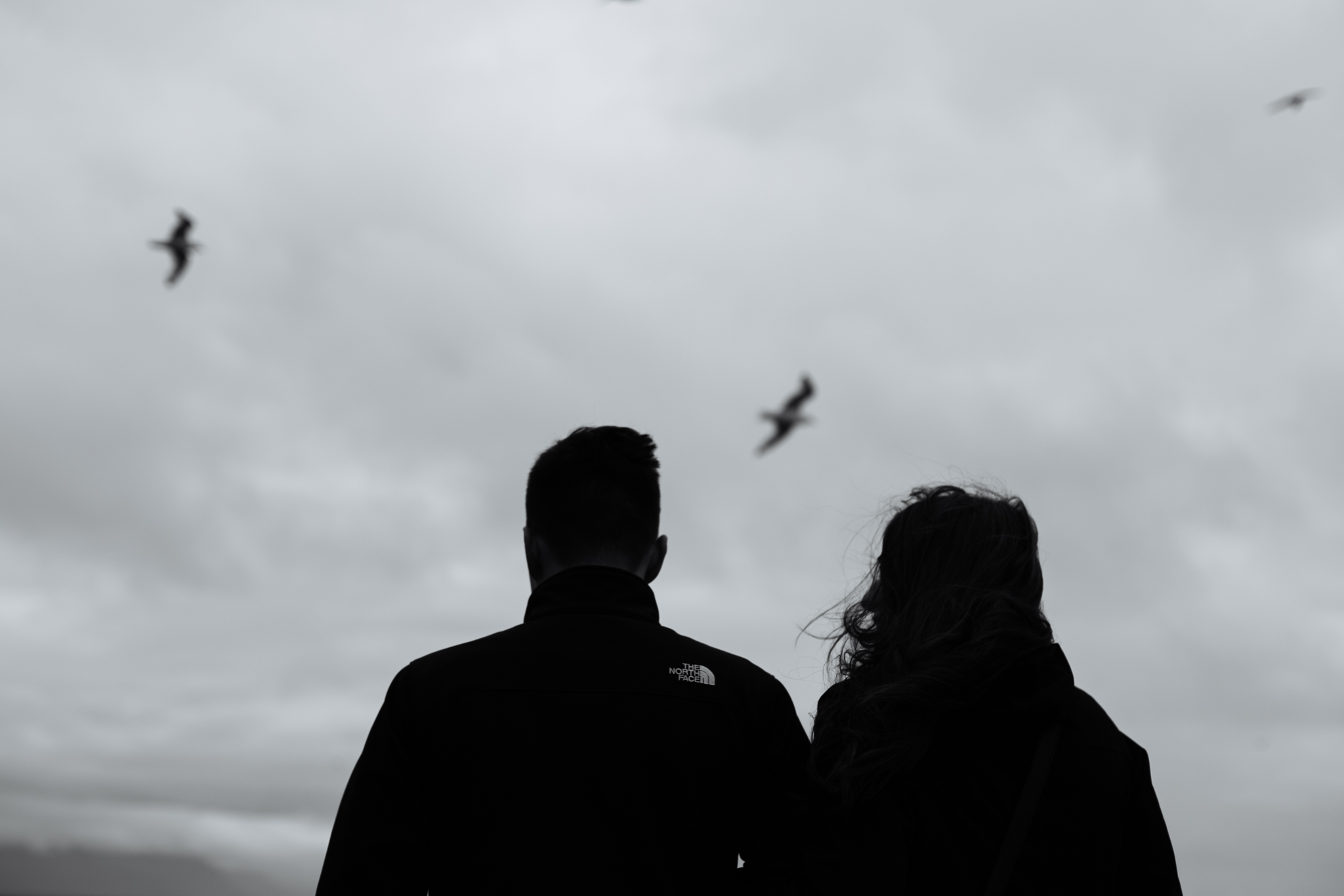 Iceland Wedding Photographer - Vow of the Wild