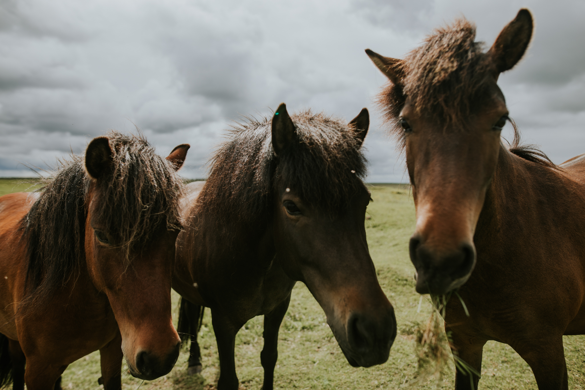 Iceland Wedding Photographer - Vow of the Wild