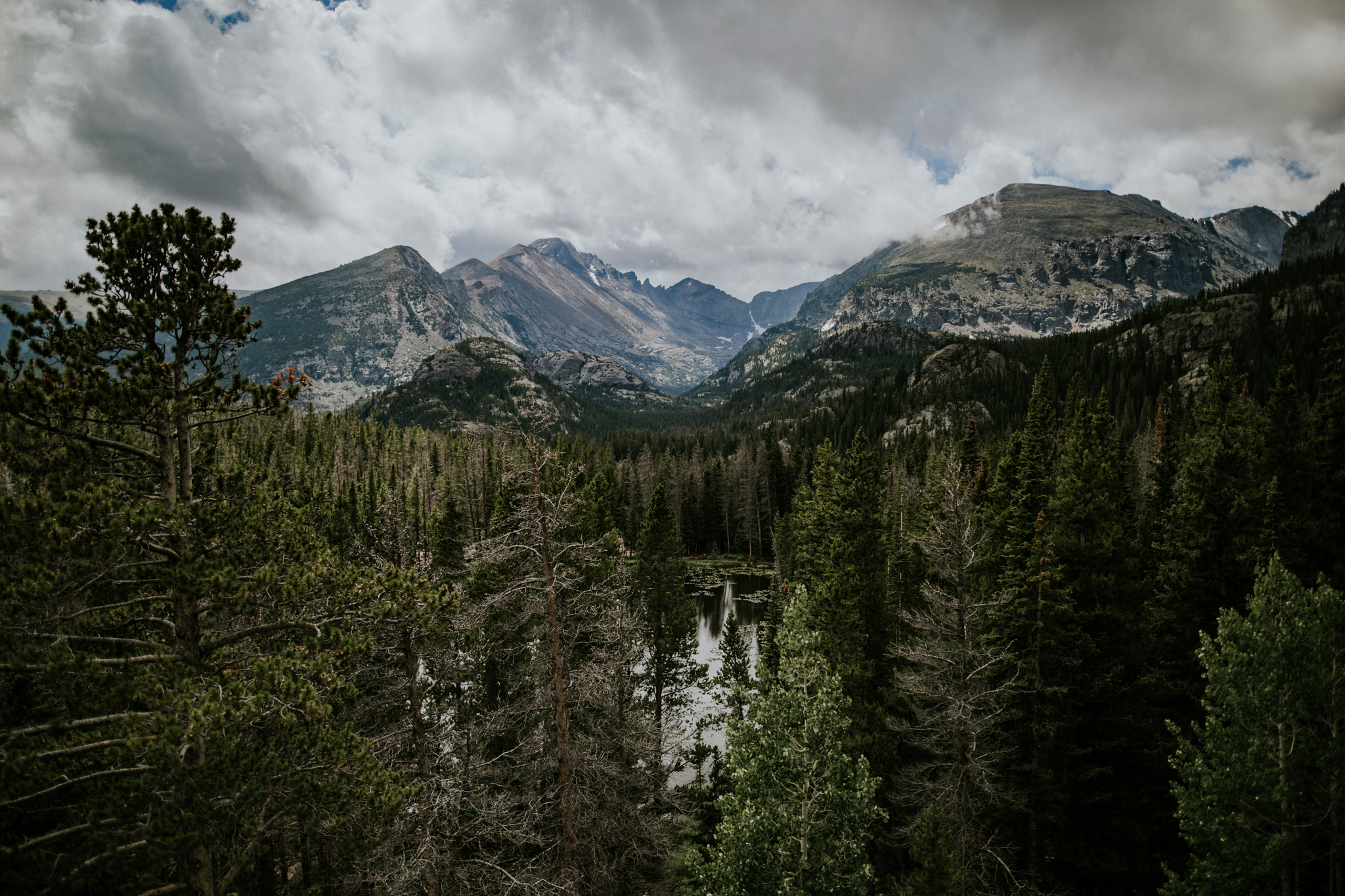 Destination Elopement Photographer - Vow of the Wild - Rocky Mountain National Park - Forest Elopement - Nymph Lake