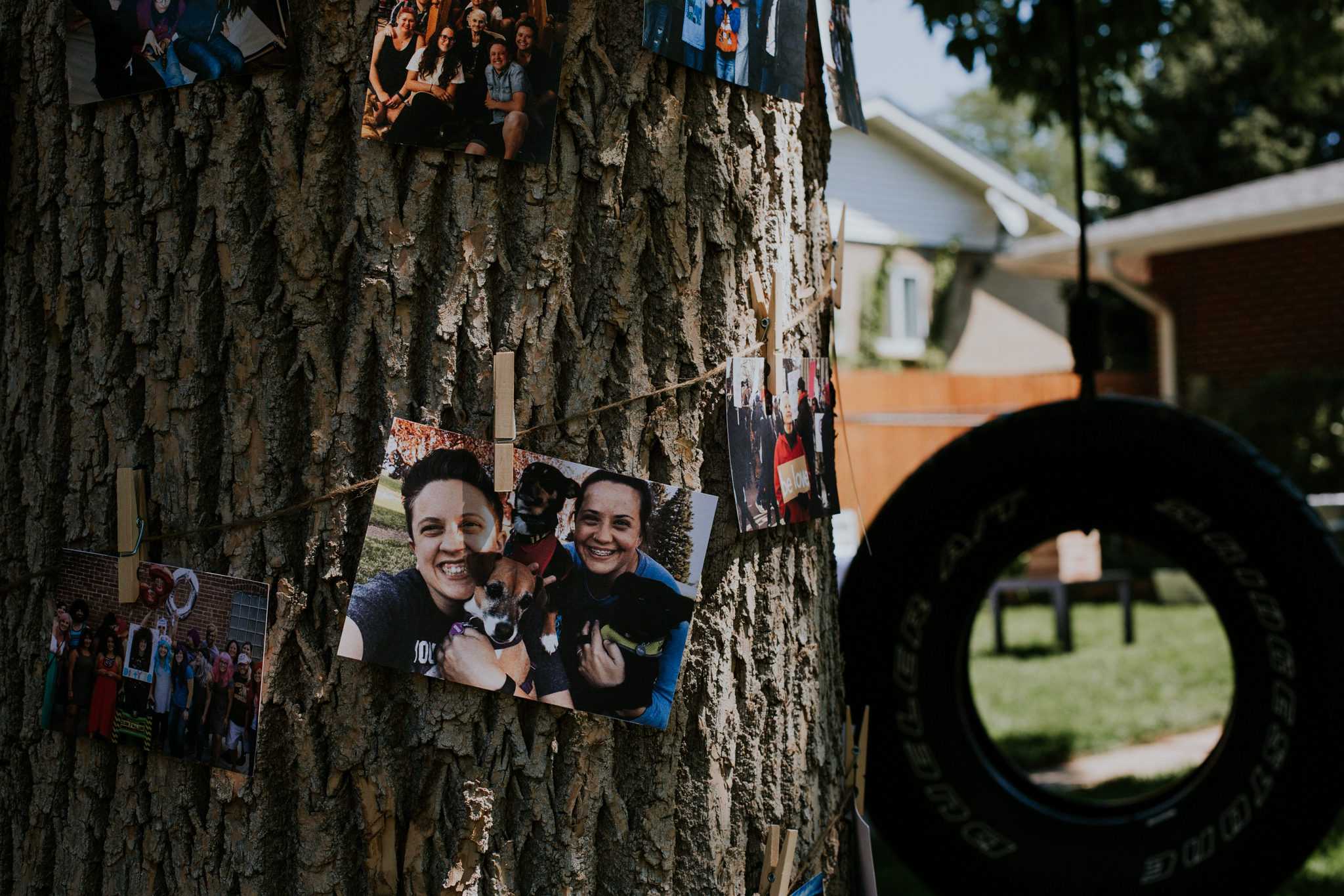Colorado Intimate Wedding Photographer - Backyard Wedding - Vow of the Wild