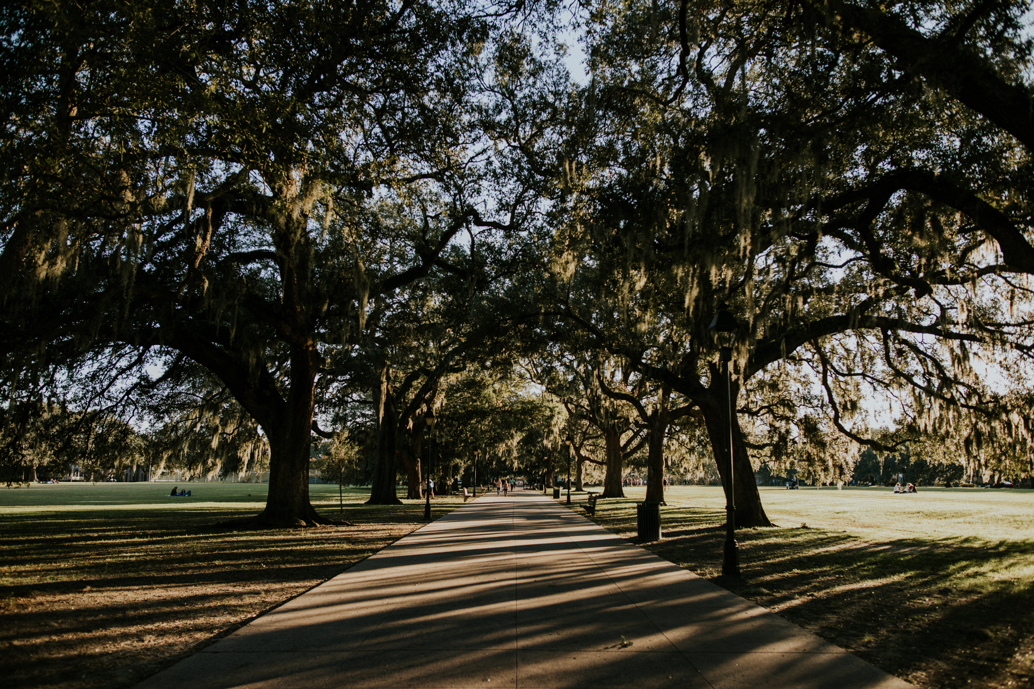 Forsyth Park - Savannah Georgia Travel - Destination Elopement Photographer - Vow of the Wild