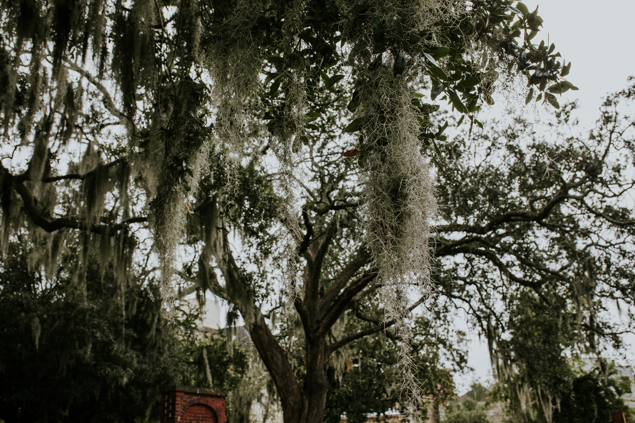 Colonial Park Cemetery - Savannah Georgia Travel - Destination Elopement Photographer - Vow of the Wild