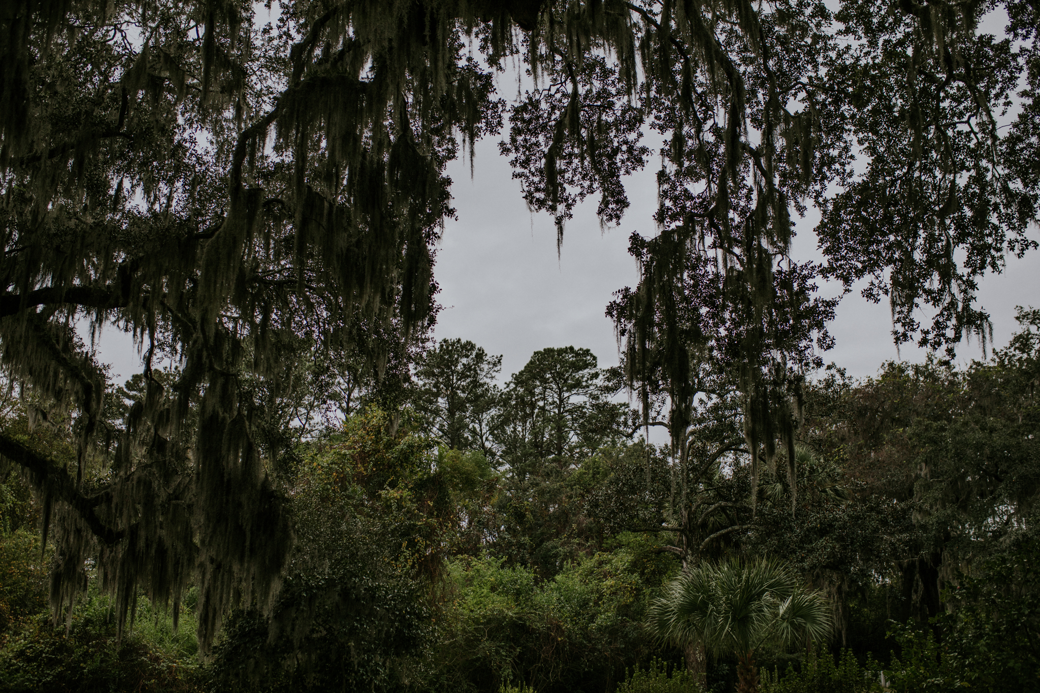 Bonaventure Cemetery - Savannah Georgia Travel - Destination Elopement Photographer - Vow of the Wild