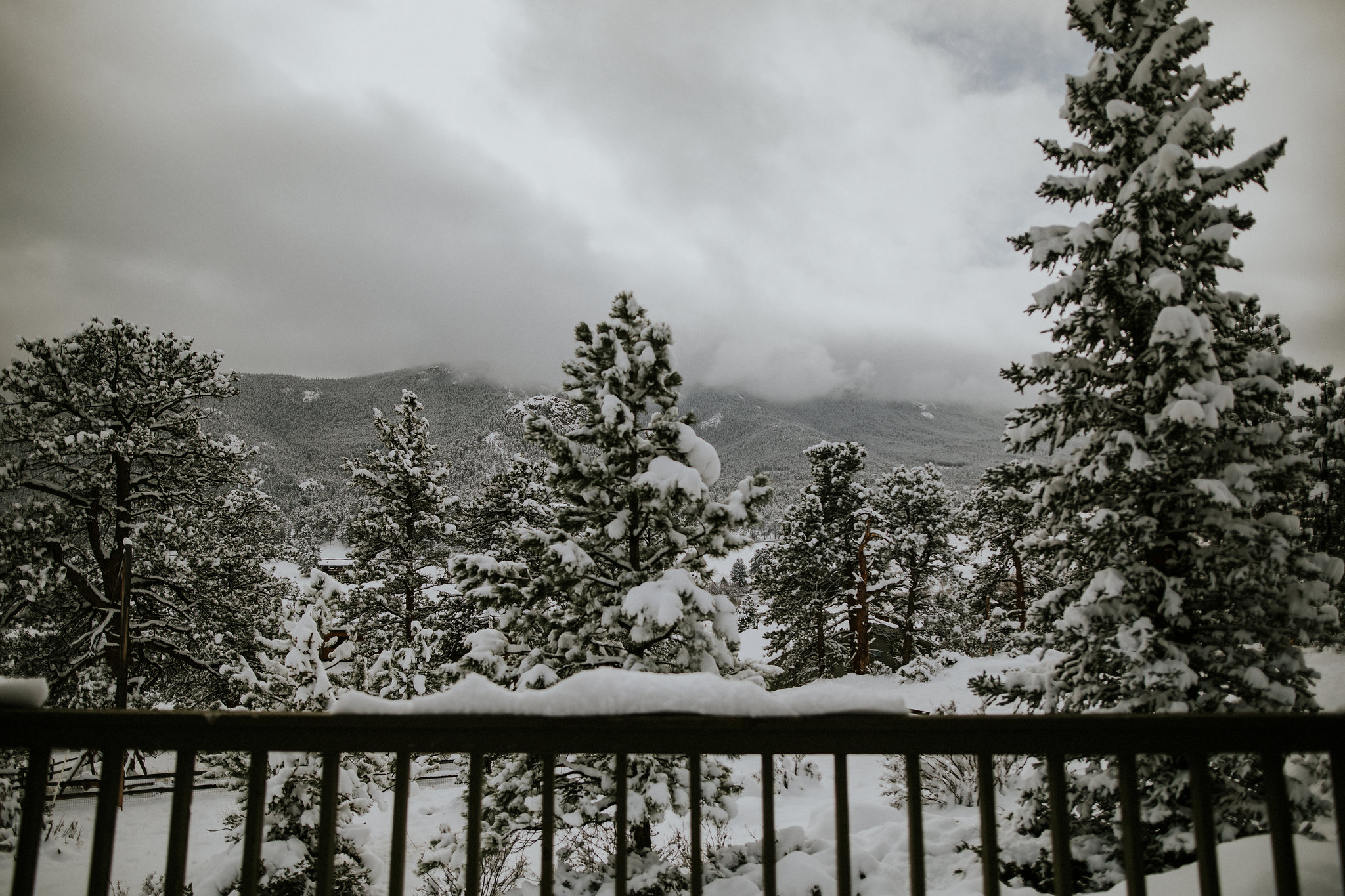 Rocky Mountain National Park Elopement Photographer Elopement Videographer Destination Elopement Photography Destination Elopement Videography Colorado Elopement Photographer Colorado Elopement Video