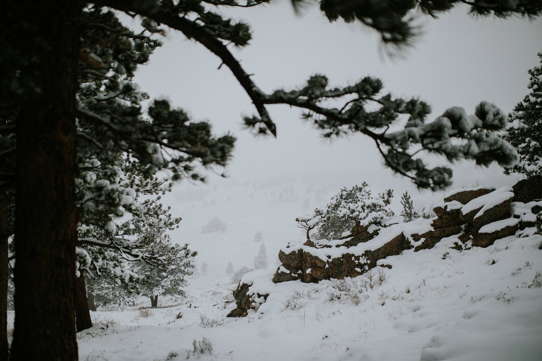Rocky Mountain National Park Elopement Photographer Elopement Videographer Destination Elopement Photography Destination Elopement Videography Colorado Elopement Photographer Colorado Elopement Video