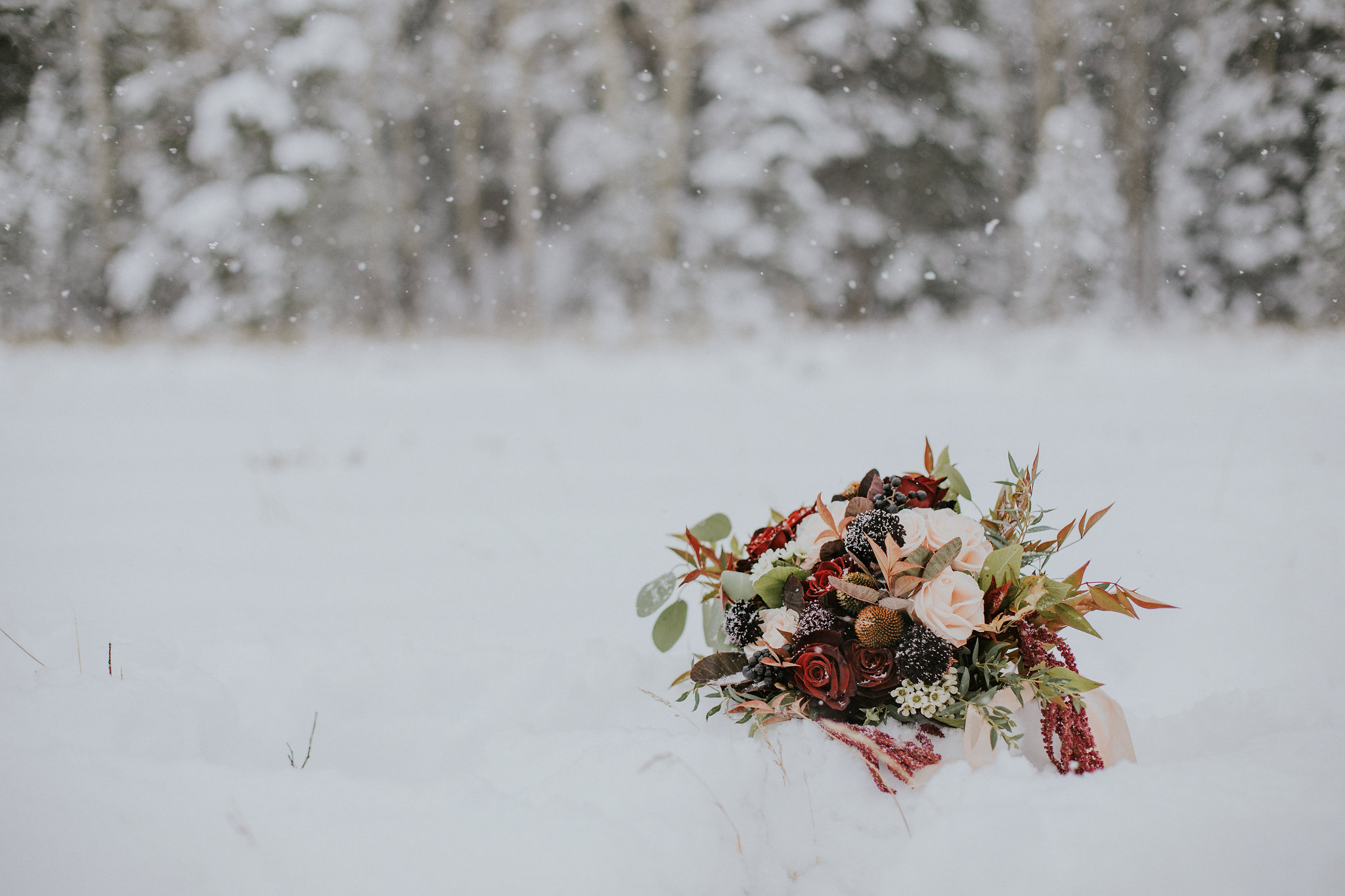Rocky Mountain National Park Elopement Photographer Elopement Videographer Destination Elopement Photography Destination Elopement Videography Colorado Elopement Photographer Colorado Elopement Video