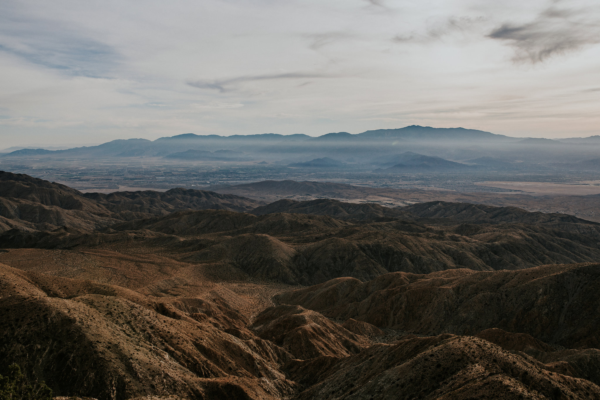 Joshua Tree Elopement Photographer - Destination Elopement Videographer - Joshua Tree Wedding - Vow of the Wild