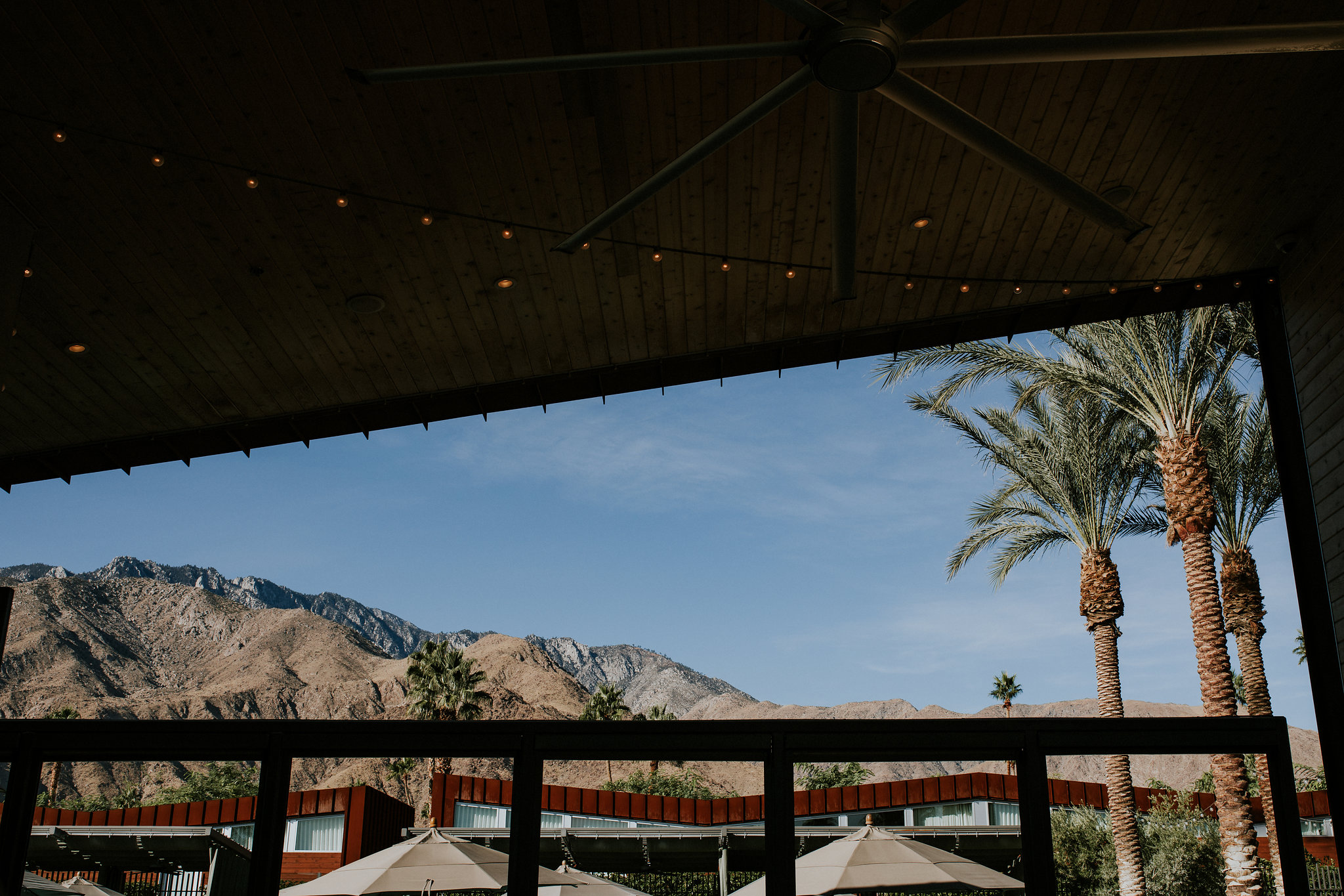 Joshua Tree Elopement Photographer - Destination Elopement Videographer - Joshua Tree Wedding - Vow of the Wild
