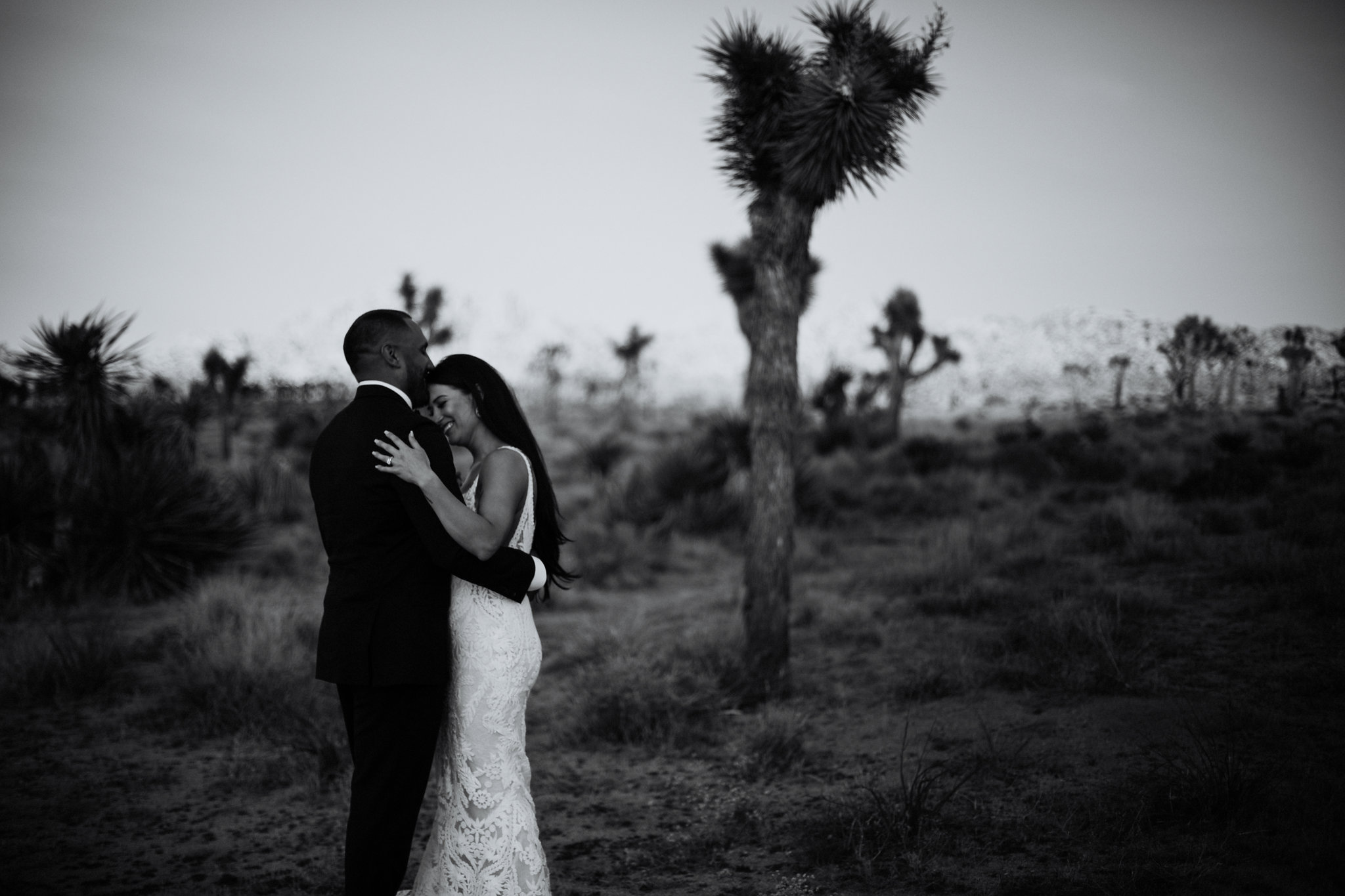Joshua Tree Elopement Photographer - Destination Elopement Videographer - Joshua Tree Wedding - Vow of the Wild