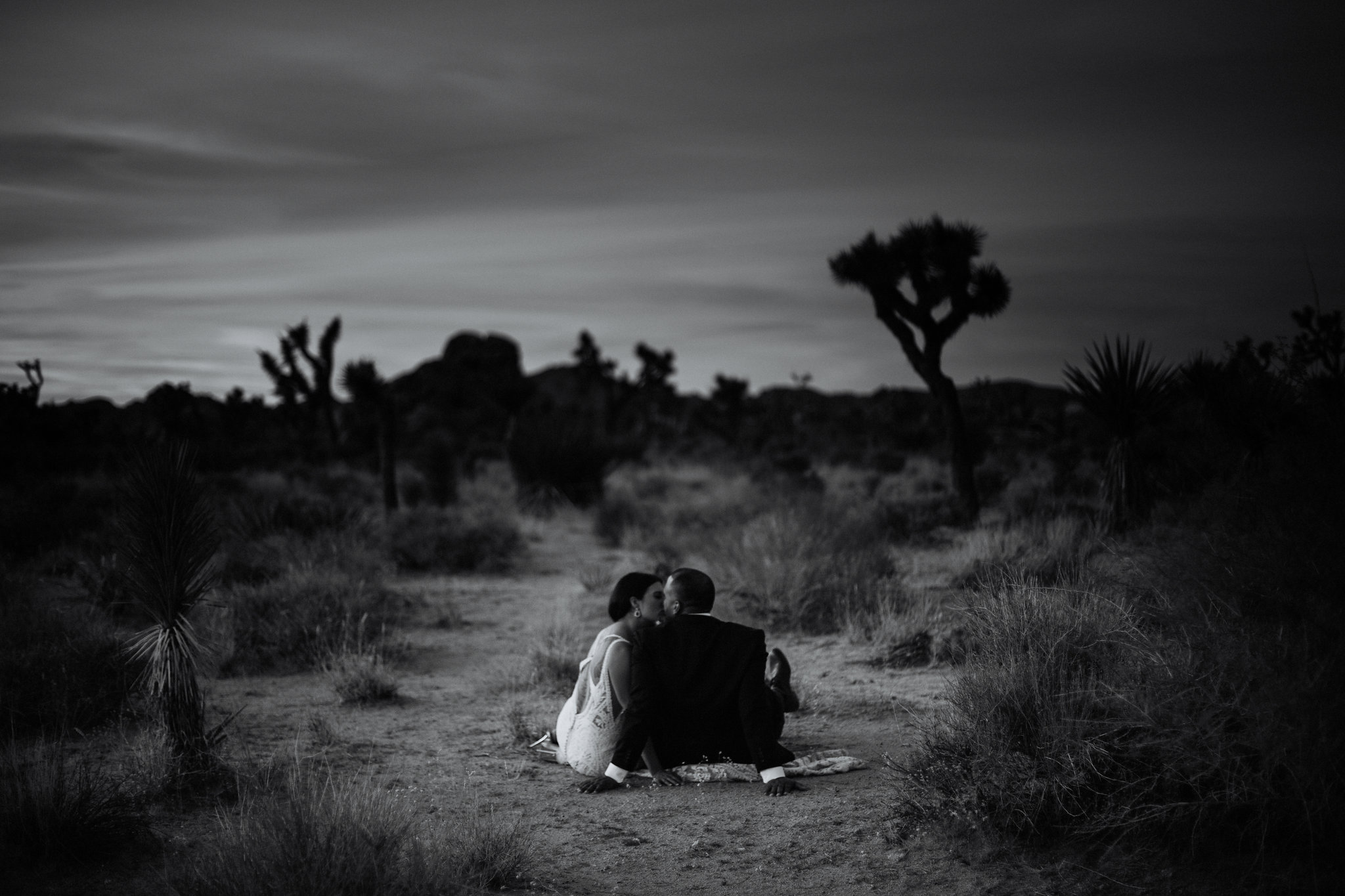 Joshua Tree Elopement Photographer - Destination Elopement Videographer - Joshua Tree Wedding - Vow of the Wild