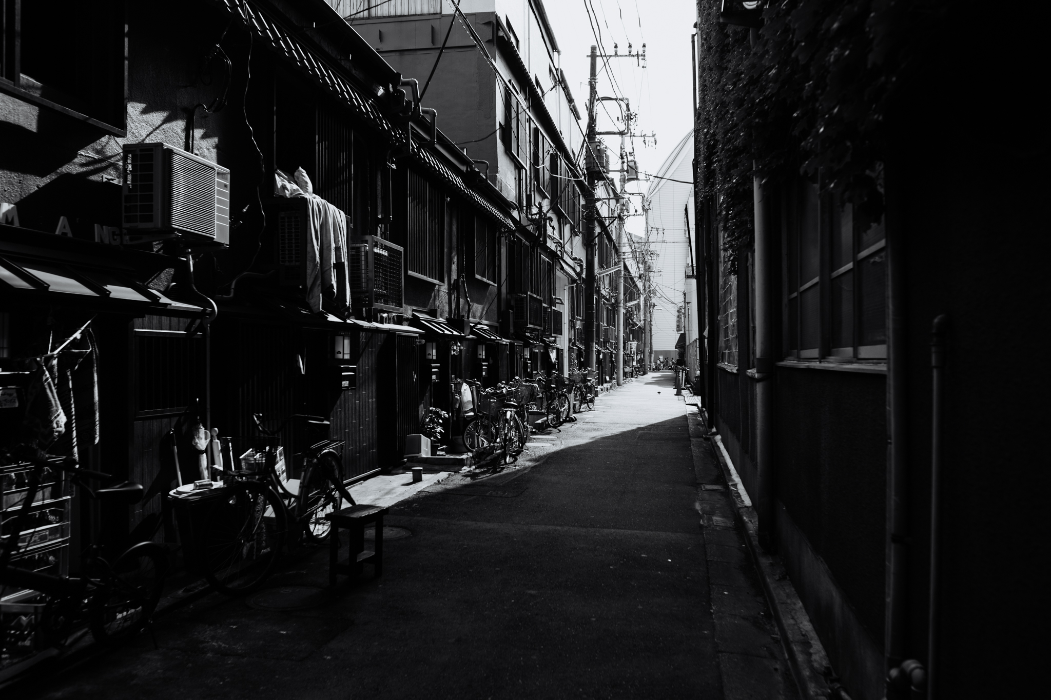Tokyo, Japan | Destination Elopement Photographer | Vow of the Wild