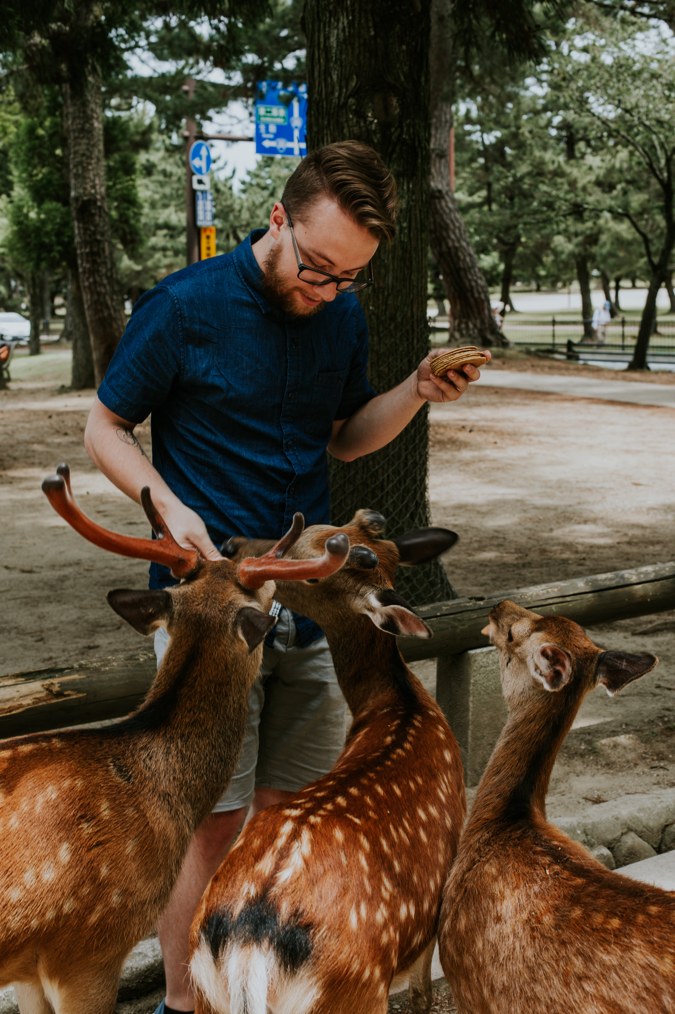 Nara, Japan | Destination Elopement Photographer | Vow of the Wild