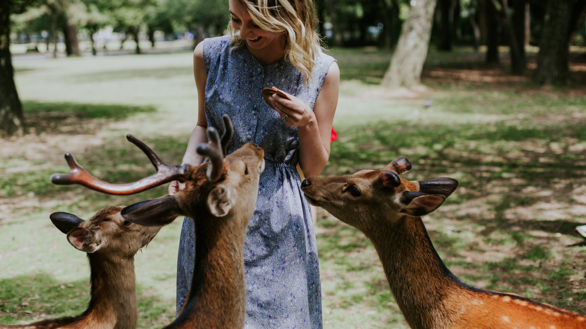 Nara, Japan | Destination Elopement Photographer | Vow of the Wild