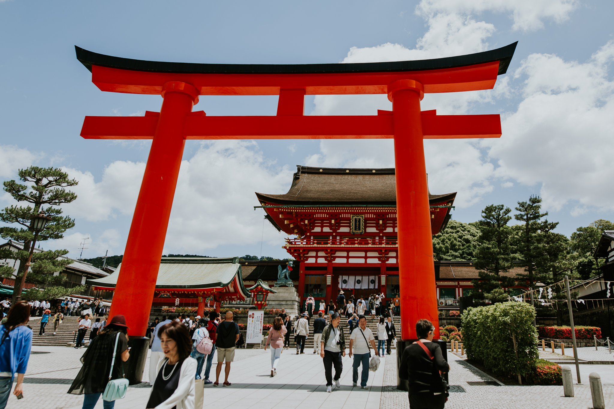 Kyoto, Japan | Destination Elopement Photographer | Vow of the Wild