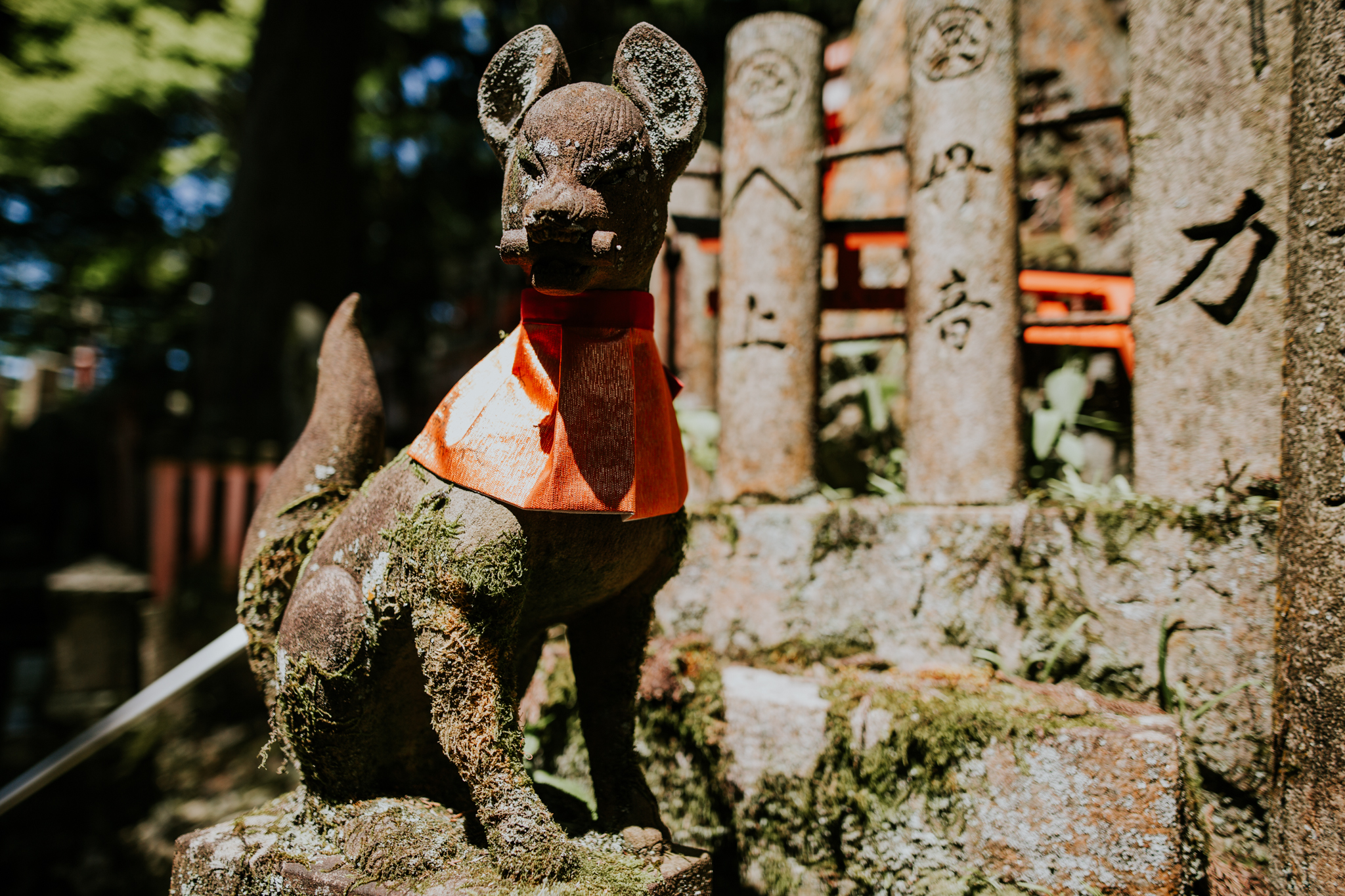Kyoto, Japan | Destination Elopement Photographer | Vow of the Wild