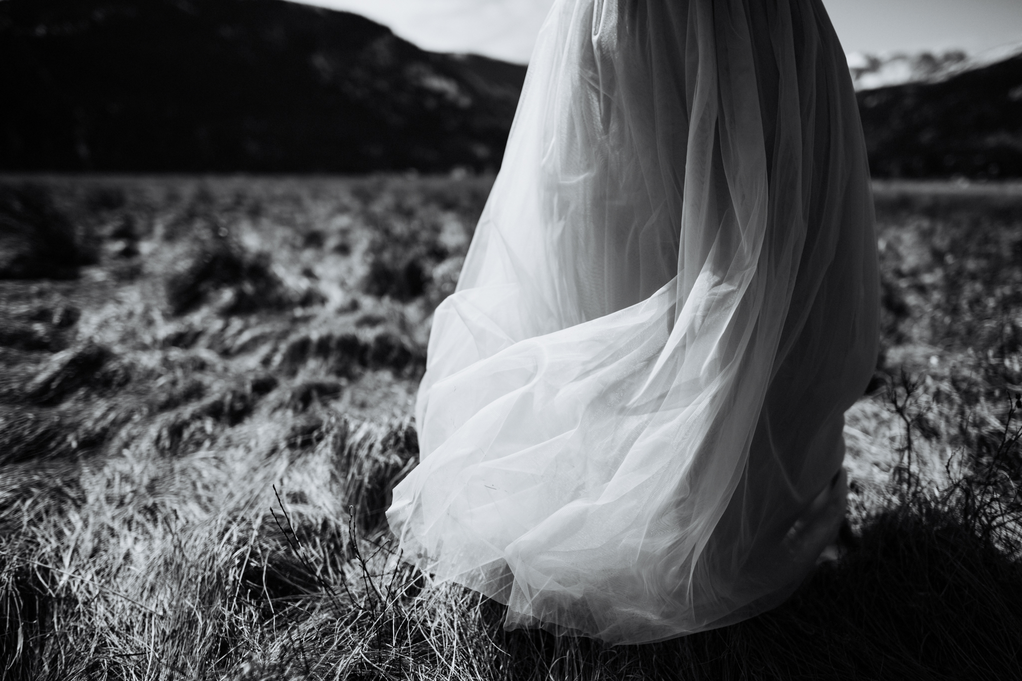Rocky Mountain National Park Elopement | Colorado Elopement Photographer | Vow of the Wild