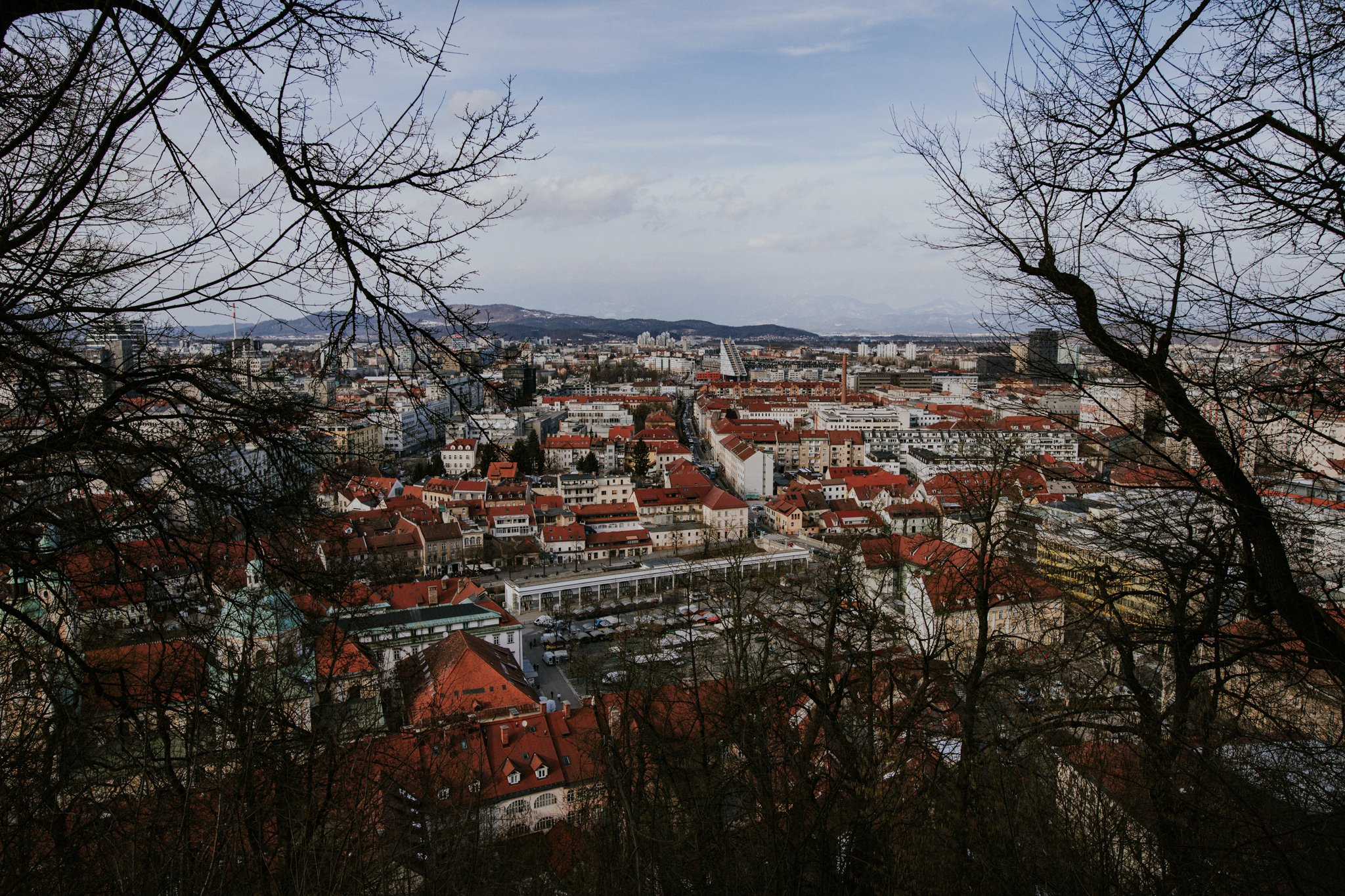 Ljubljana, Slovenia | Destination Elopement Photographer | Vow of the Wild