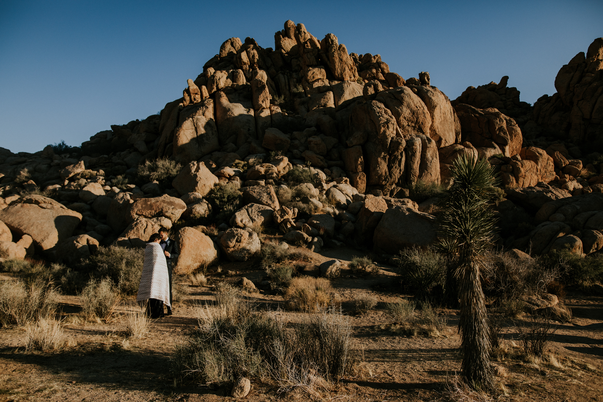 Joshua Tree National Park, California | Colorado Elopement Photographer | Vow of the Wild