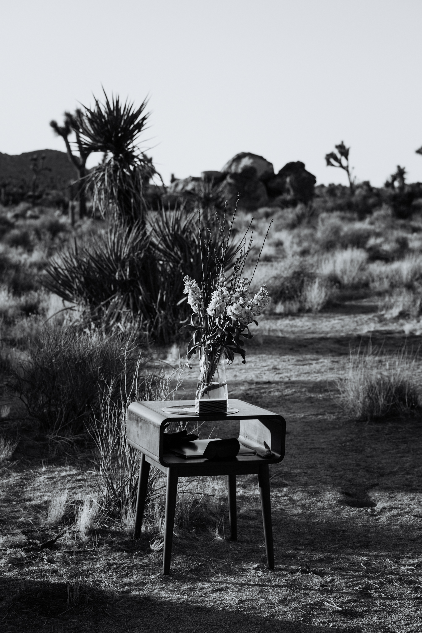 Joshua Tree National Park, California | Colorado Elopement Photographer | Vow of the Wild