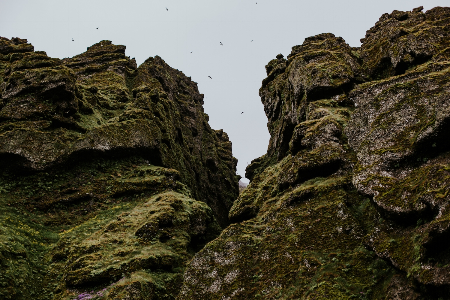 Iceland Wedding Photographer - Vow of the Wild - Snæfellsnes Peninsula