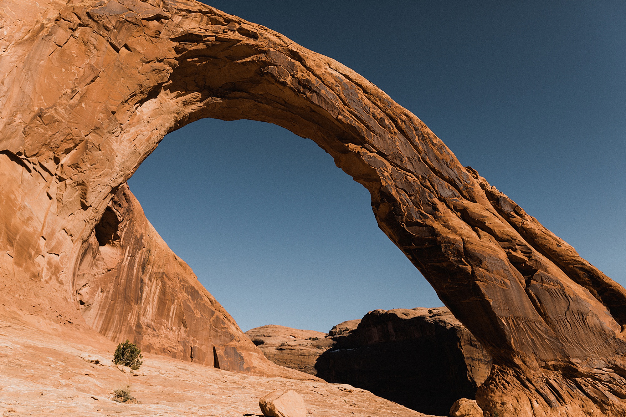 Moab Adventure Session | Moab Elopement Photographer | Vow of the Wild
