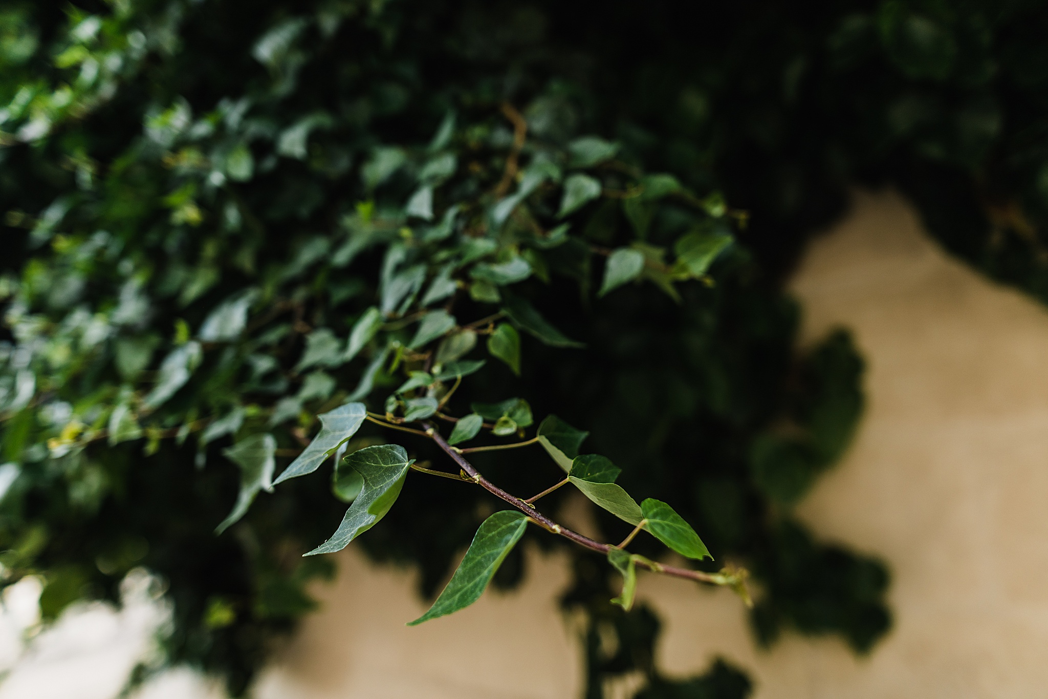 Matera Elopement | Italy Destination Elopement Photographer + Videographer | Vow of the Wild