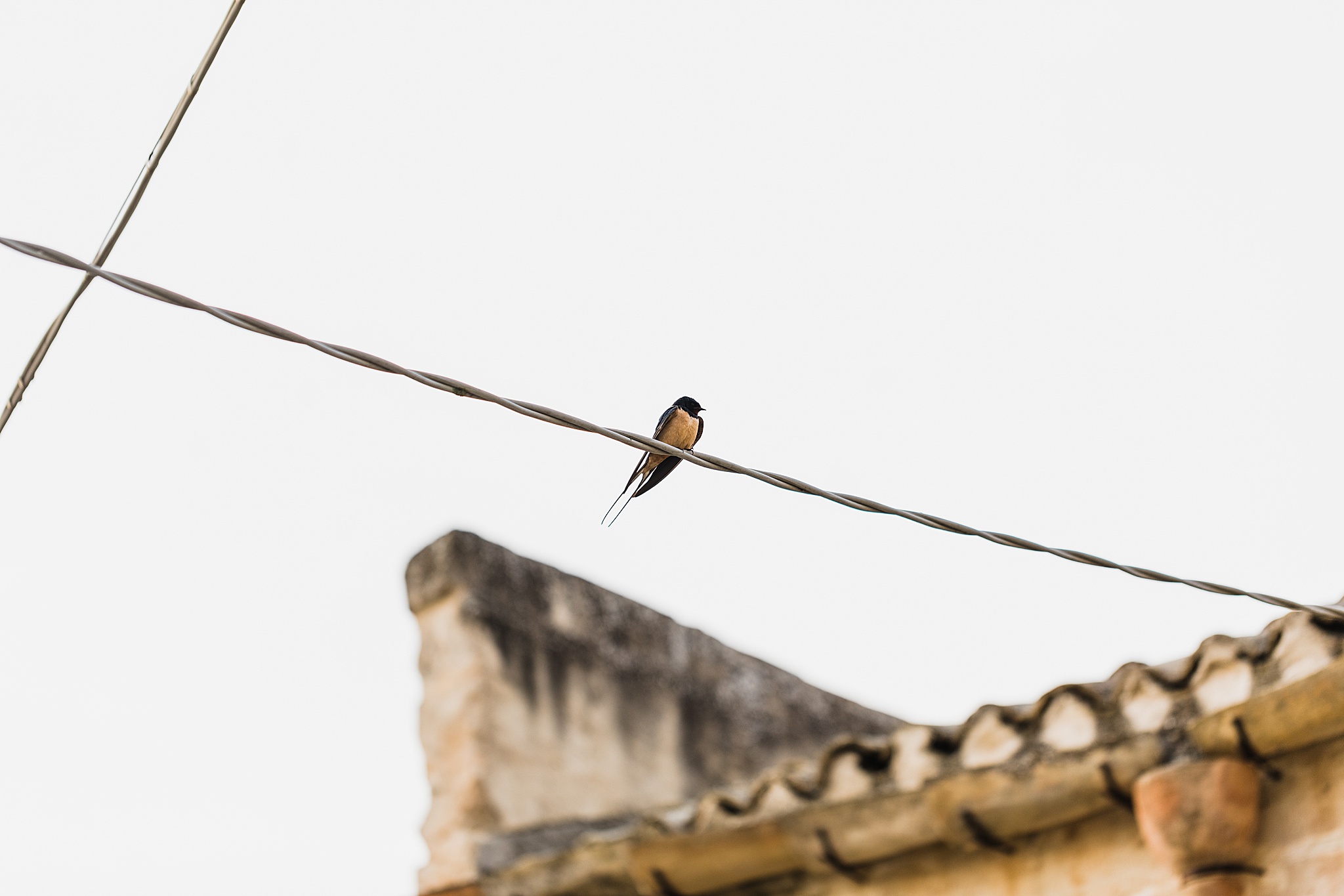 Matera Elopement | Italy Destination Elopement Photographer + Videographer | Vow of the Wild