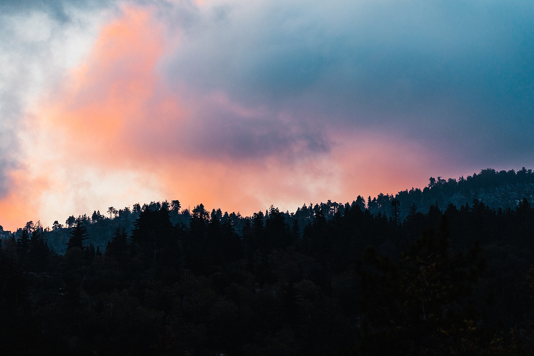 California Forest Intimate Wedding | Vow of the Wild