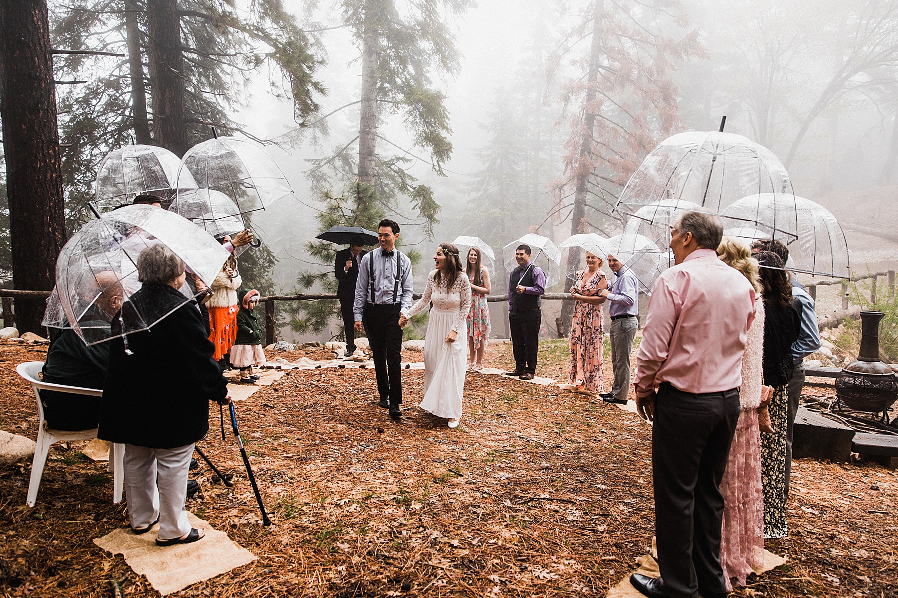California Forest Intimate Wedding | Vow of the Wild