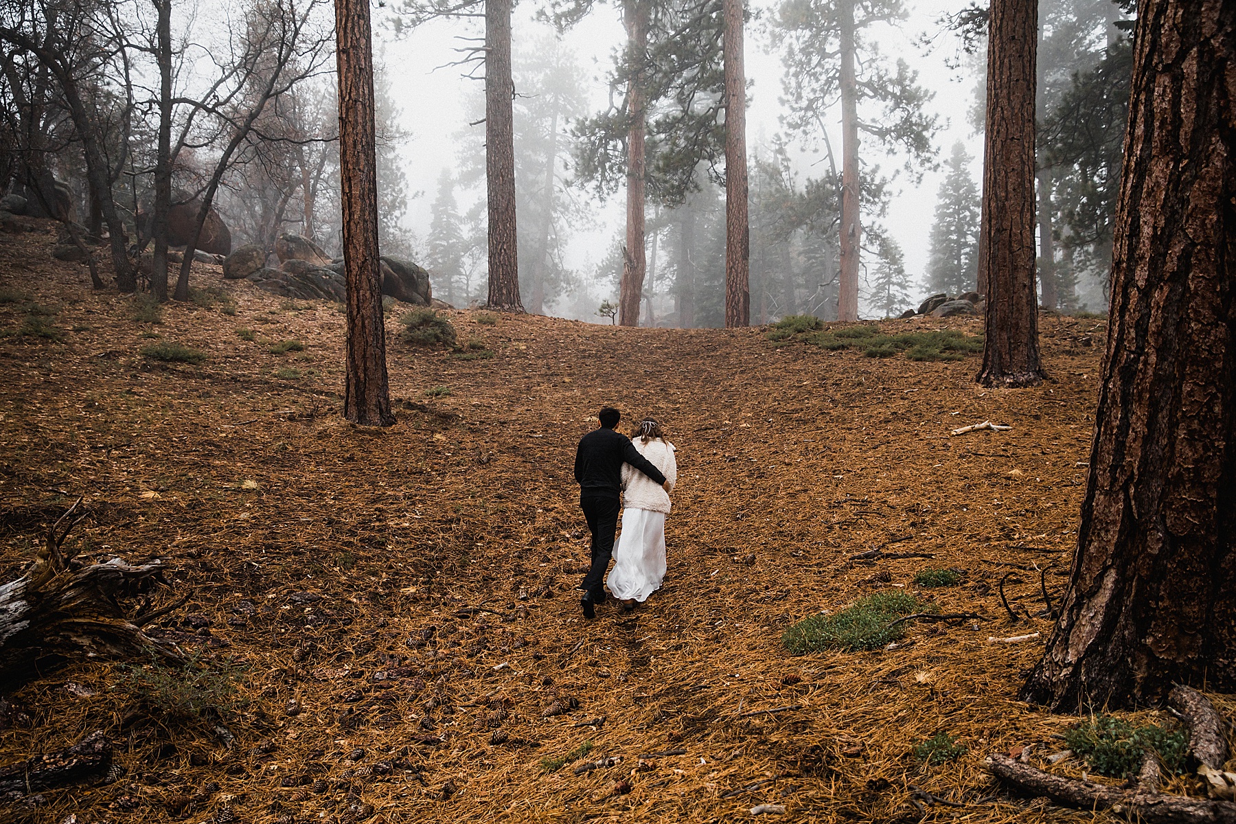 California Forest Intimate Wedding | Vow of the Wild