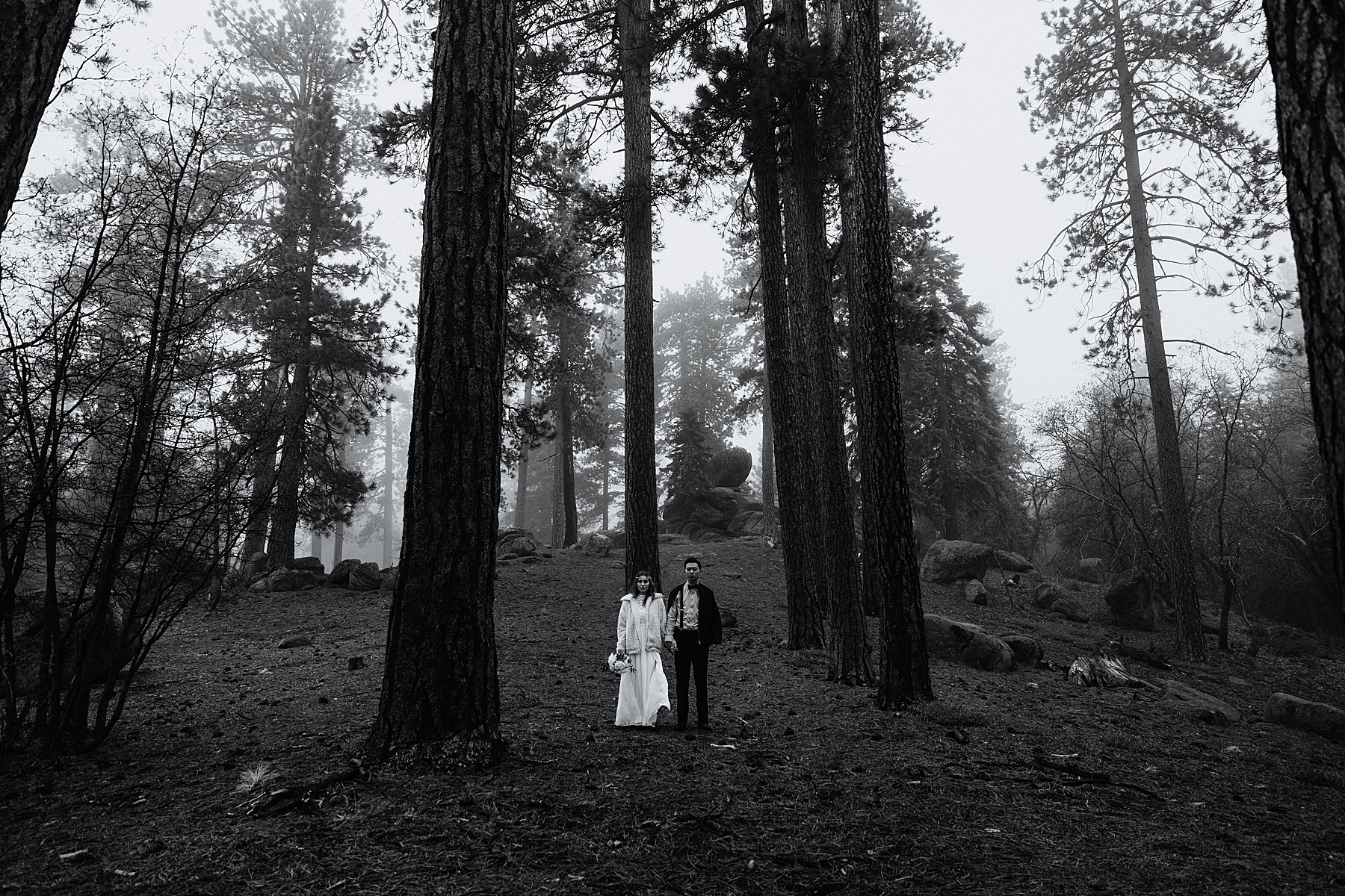 California Forest Intimate Wedding | Vow of the Wild